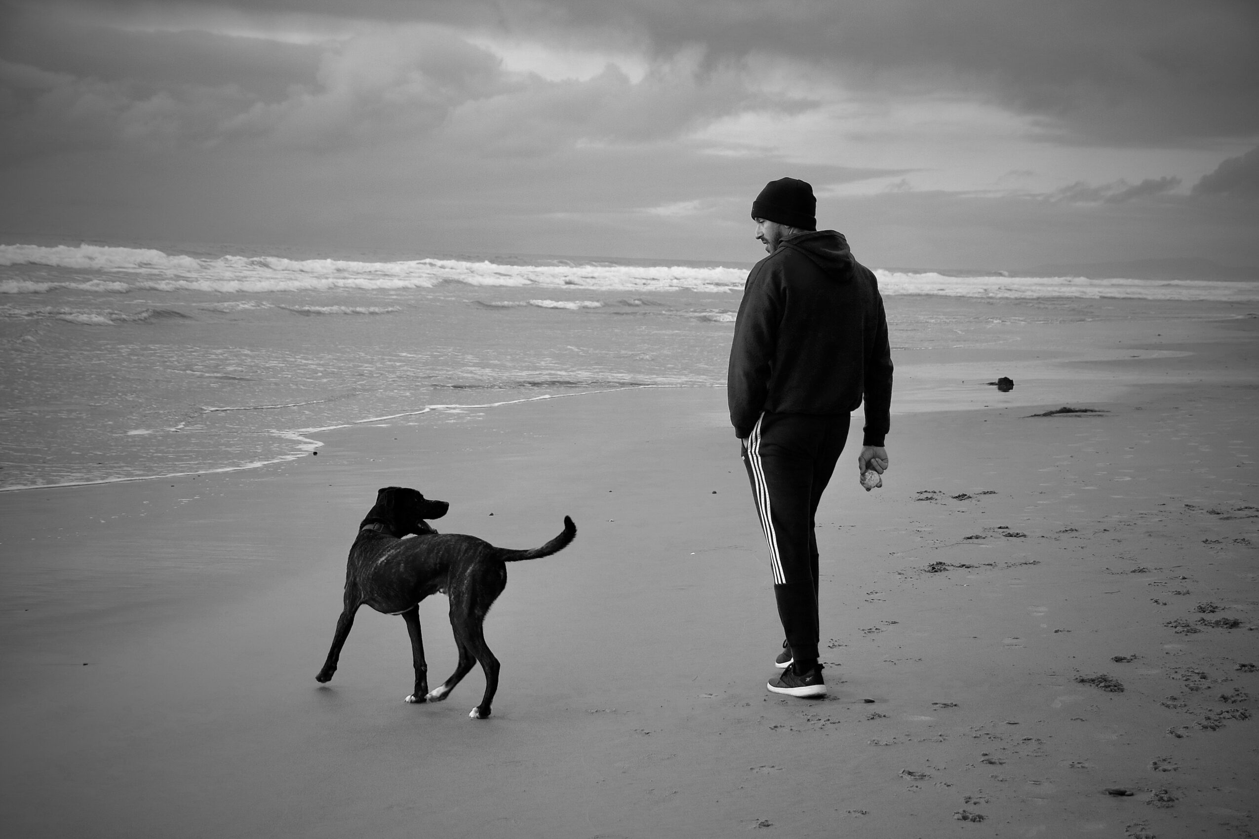 Person walking on beach with dog, ocean waves in background, cloudy sky, footprints in sand, black and white image.