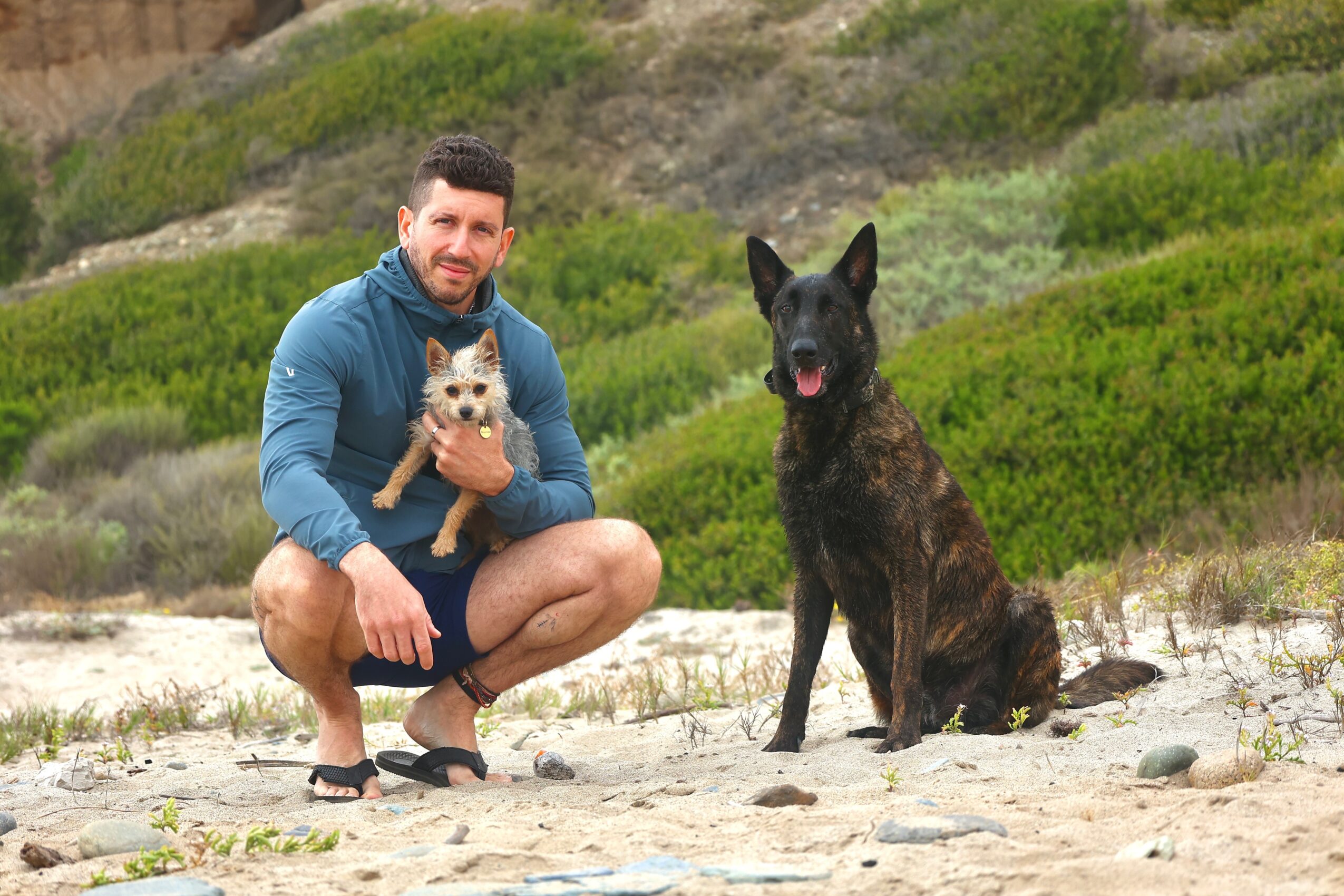 Man crouching on sandy ground holding a small dog, with a large brindle dog sitting nearby, green hillside in background.