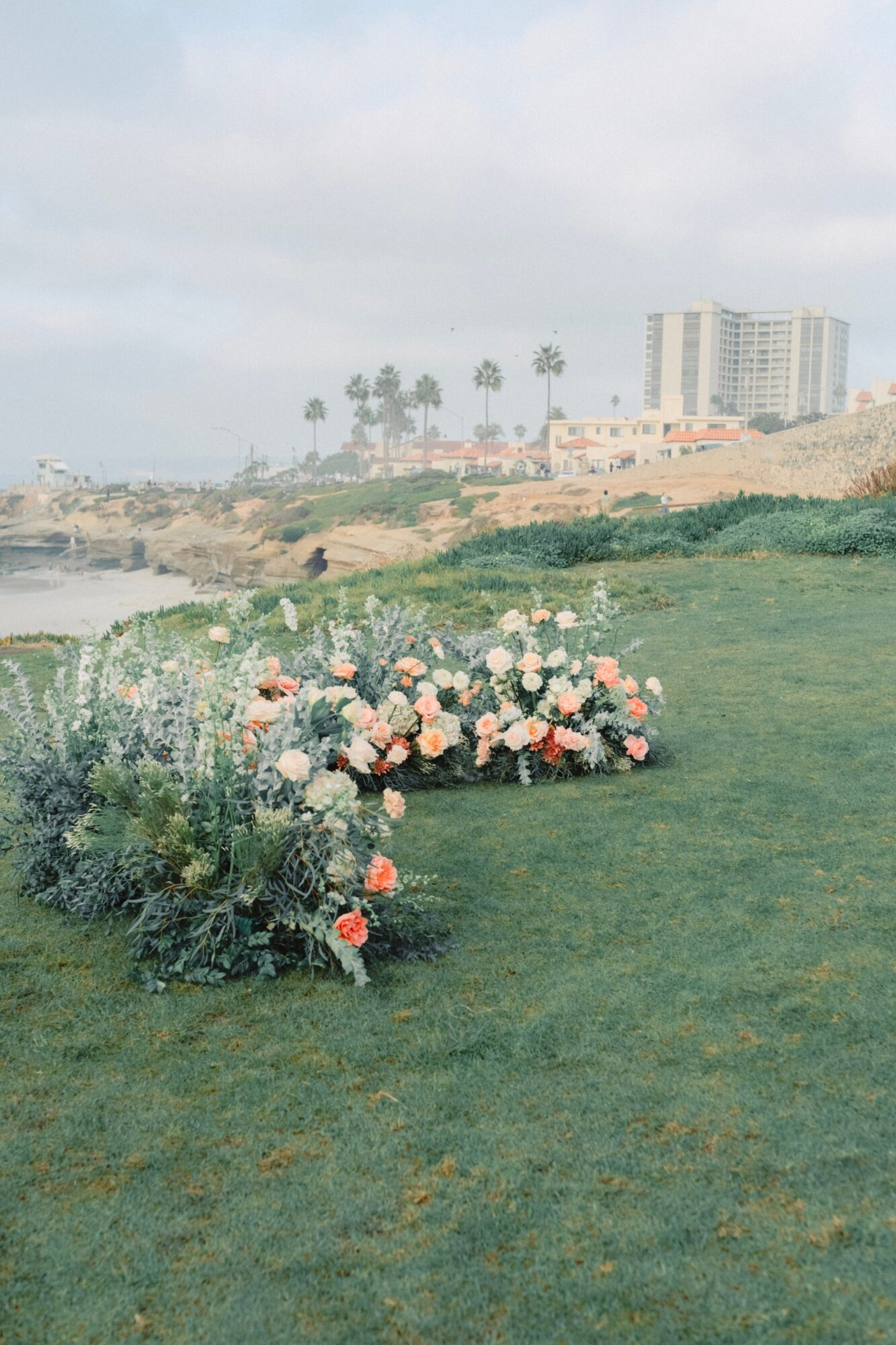 Flower bed with pink and white roses on a grassy area near water, with buildings and palm trees in the background.