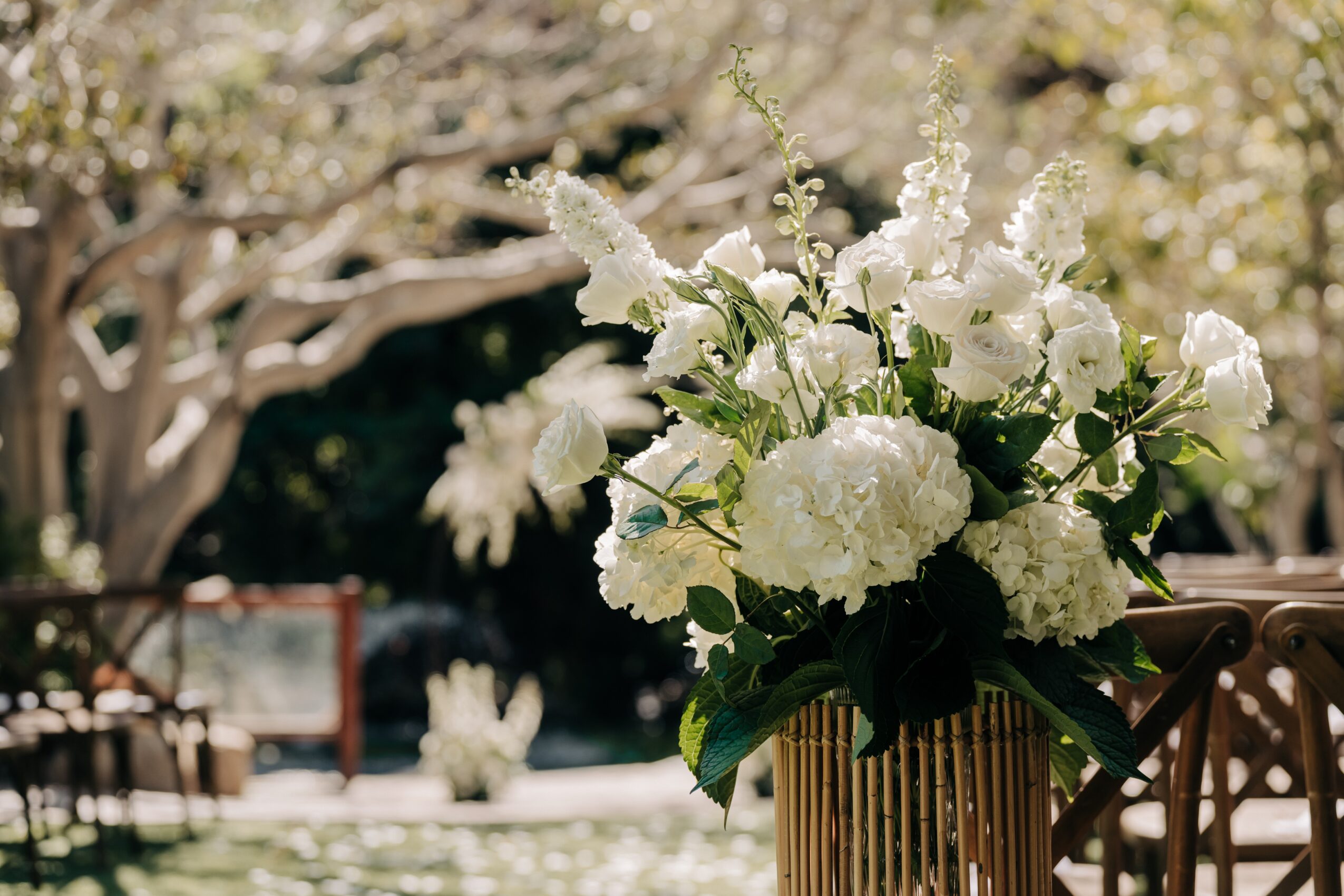 A bouquet of white flowers in a gold vase on a wooden surface outdoors, with trees and sunlight in the background.