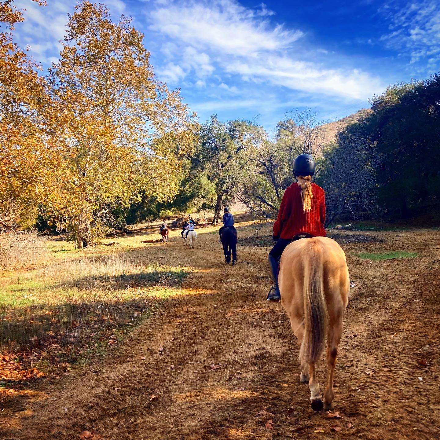 Person riding a horse on a dirt trail surrounded by trees with autumn leaves, under a blue sky with clouds.