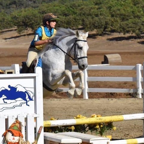 Child riding a white horse over a jump during a competition, with a background of trees and a dirt arena.