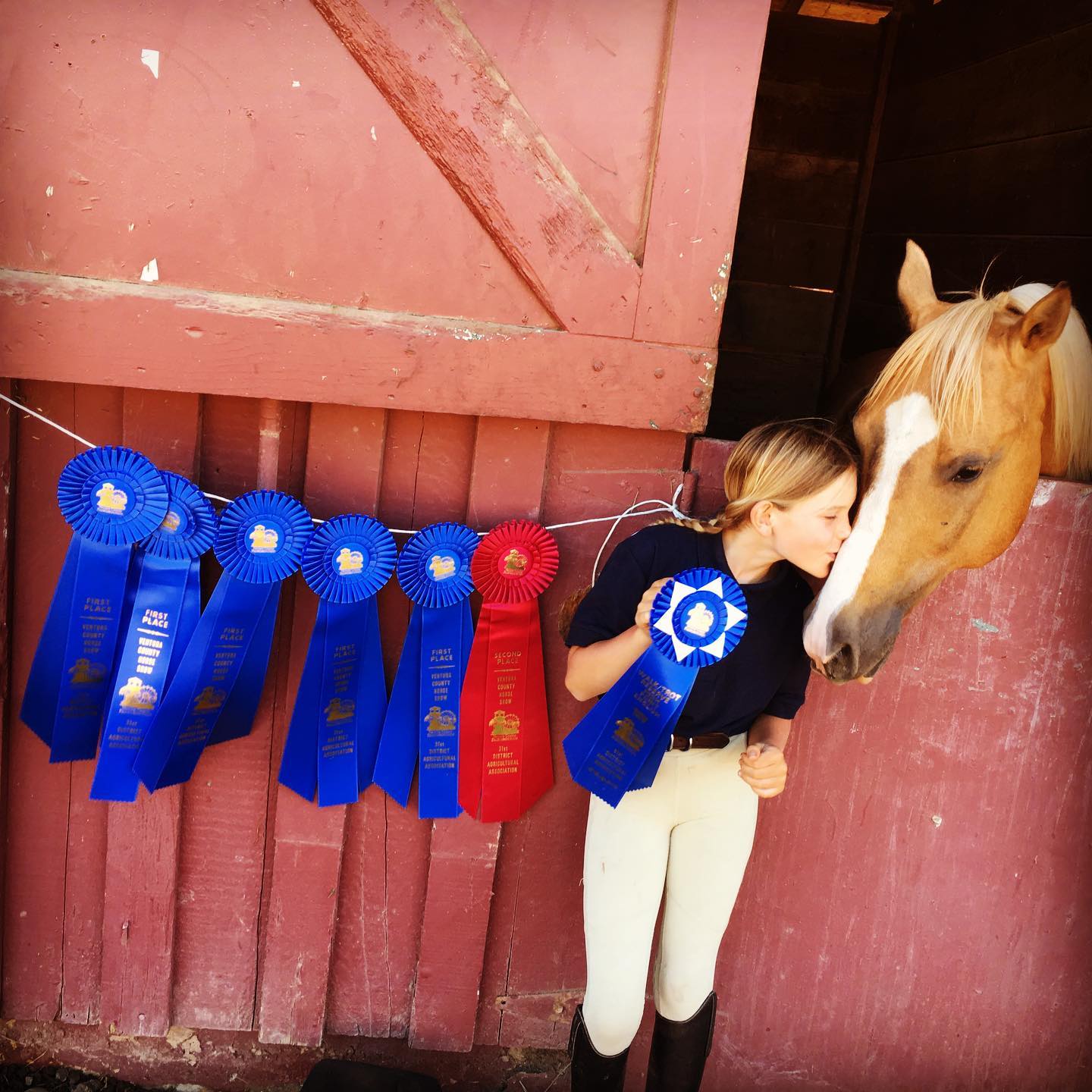 Girl with blonde hair and white riding pants leans toward a light-colored horse, with blue and red ribbons hanging on a pink wall.