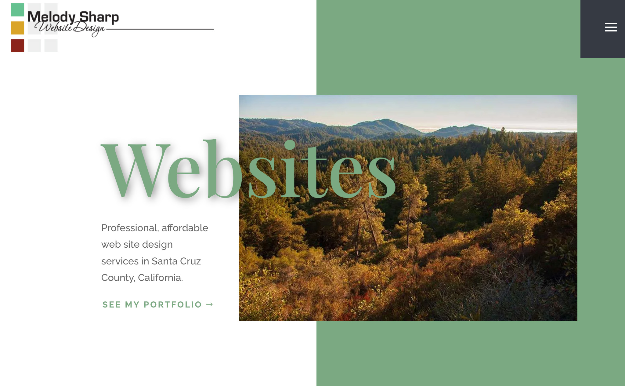 Website homepage with landscape photo of trees and mountains, text about web design services in Santa Cruz County, California.