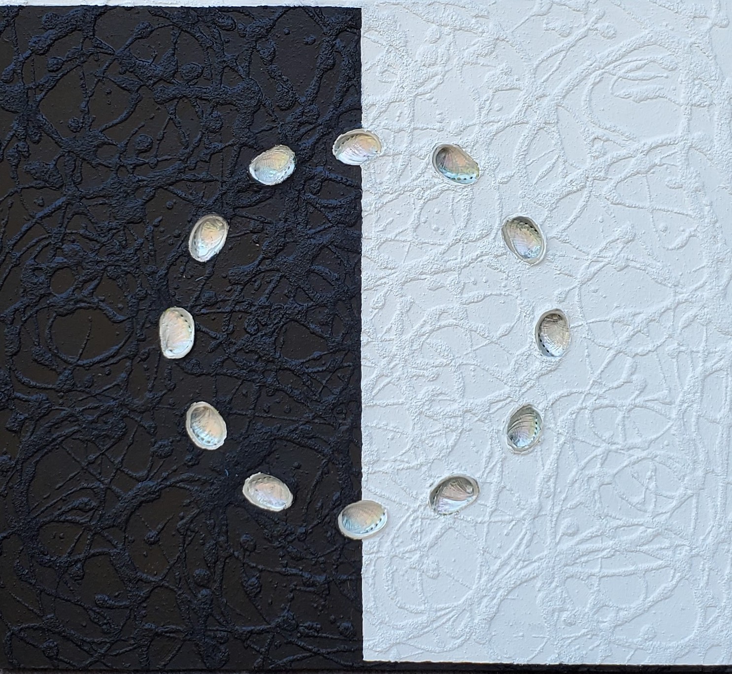 Black and white textured background with small shells arranged in a circle, divided vertically.