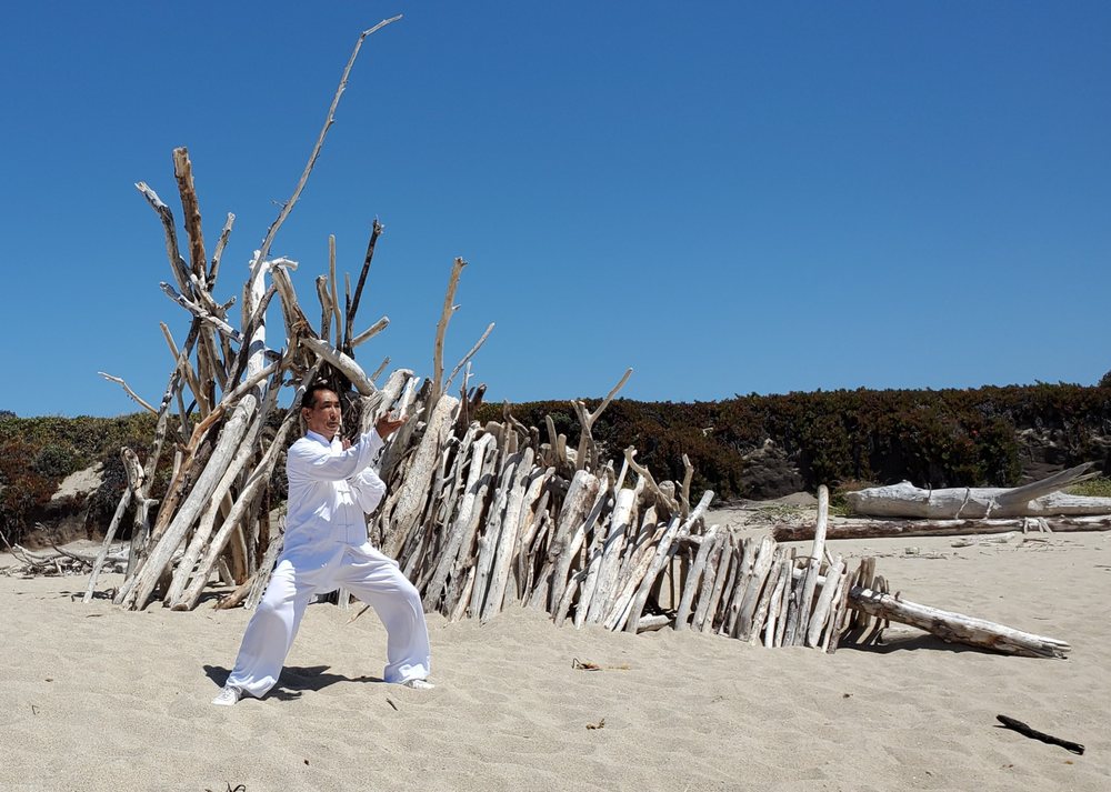 Person practicing martial arts on sandy beach with driftwood and clear blue sky.