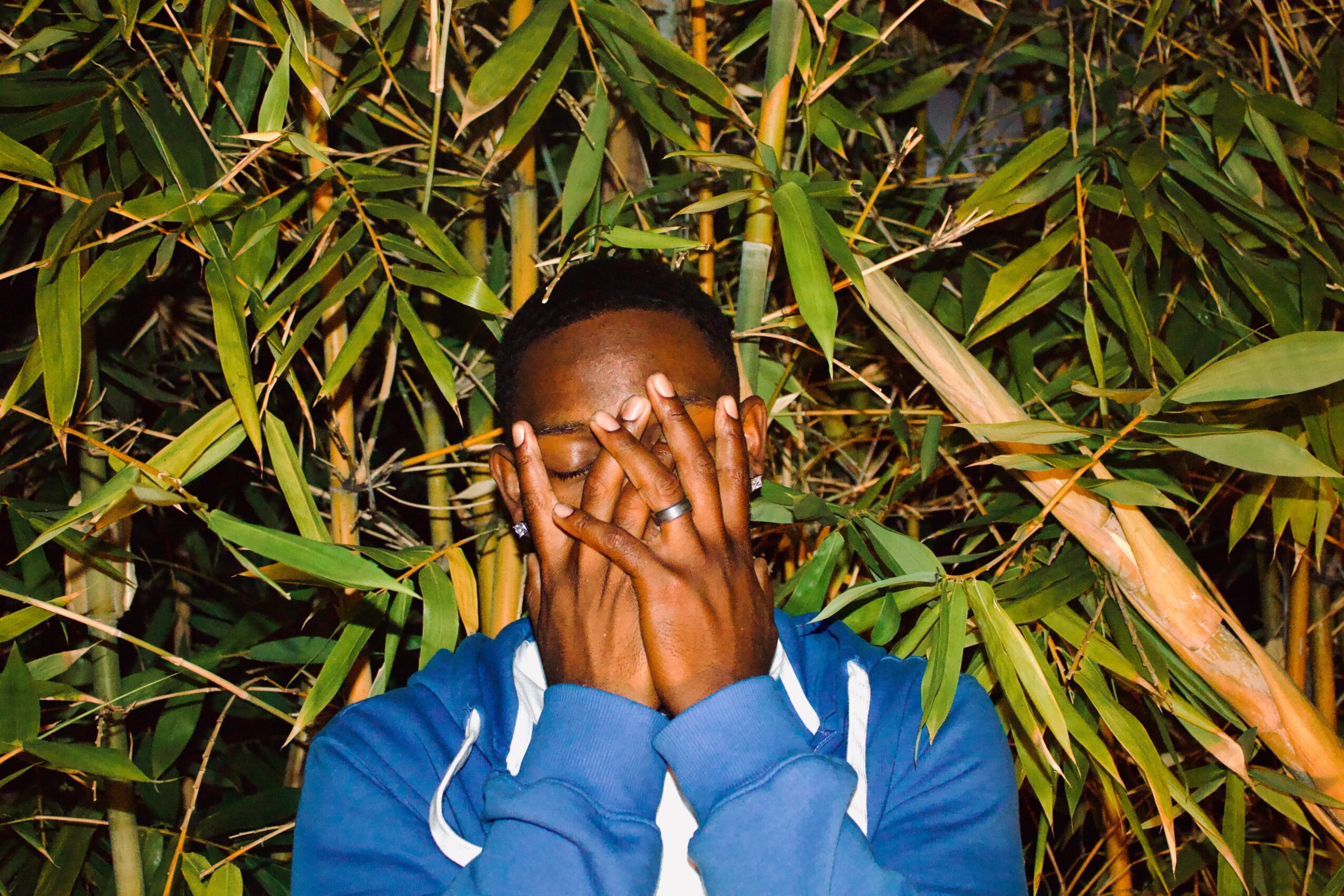 Person covering face with hands, wearing a blue hoodie, surrounded by dense green bamboo leaves.