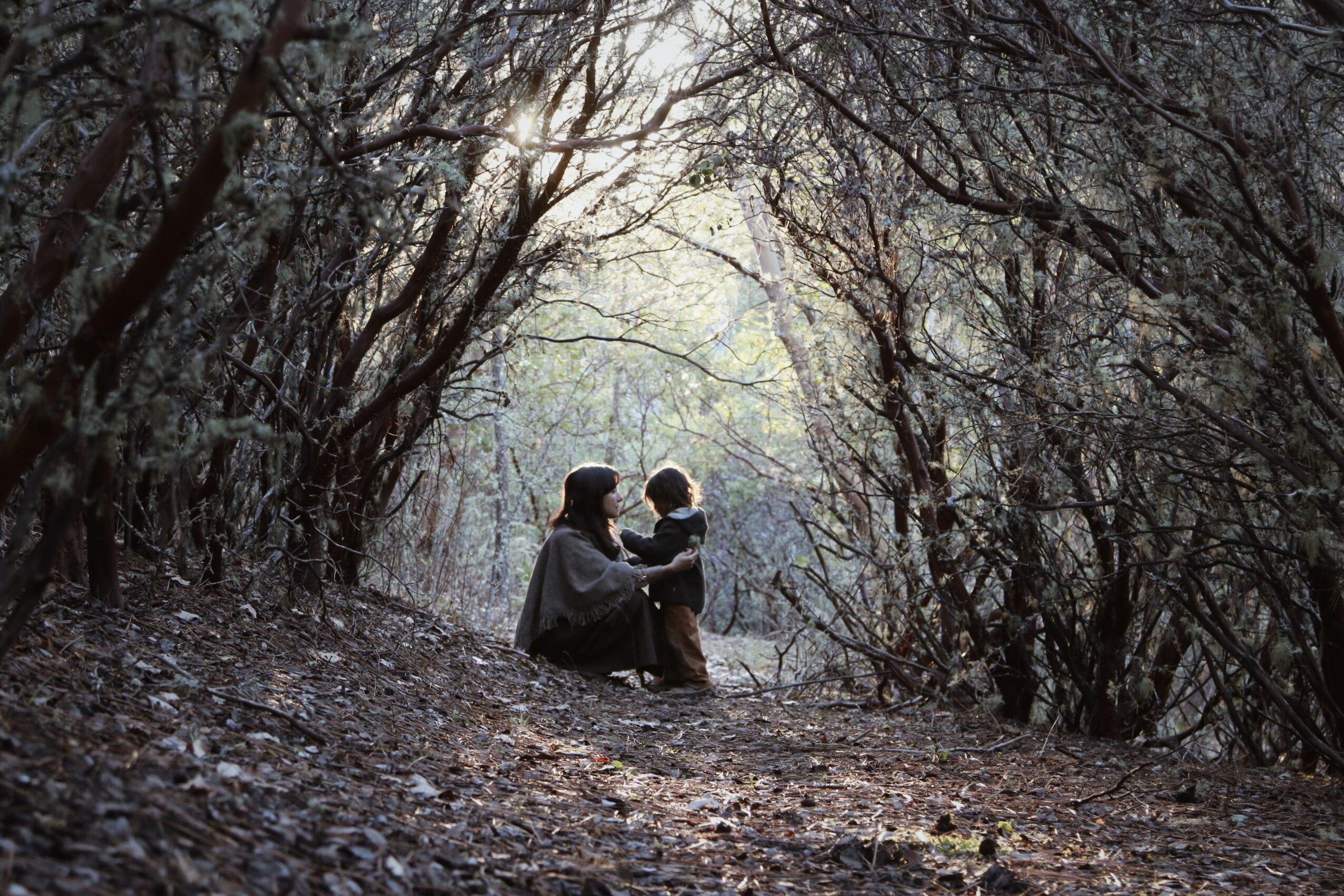 Person holding a child in a wooded area with leafless trees and a bright opening in the background.