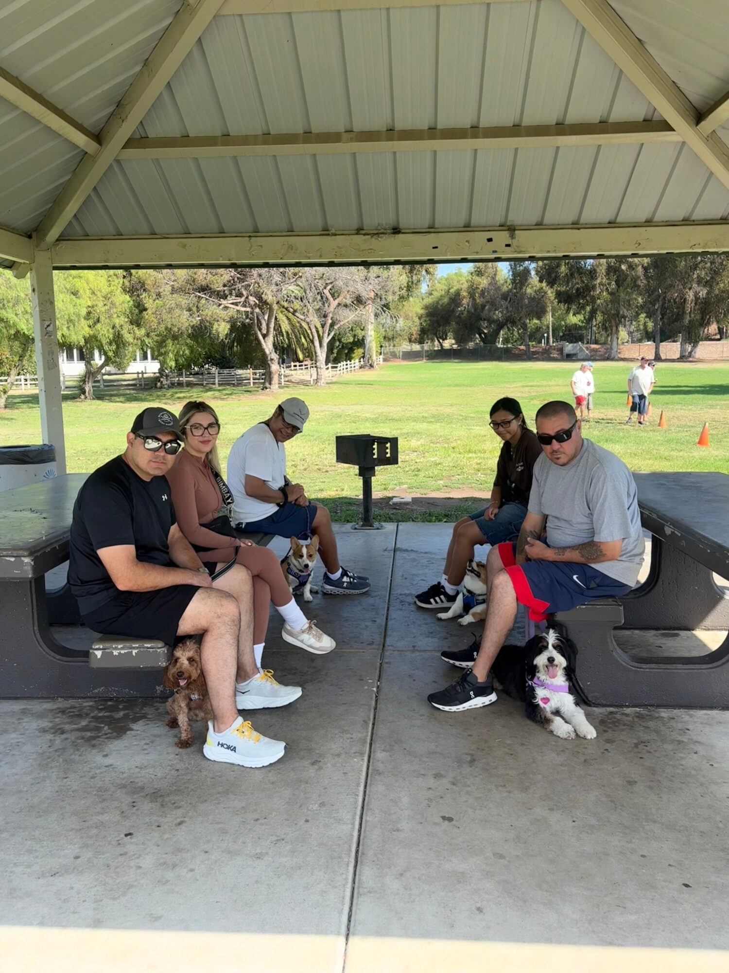 Five people sitting on benches under a pavilion in a park, with trees and grass in the background.