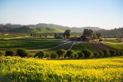 Landscape with green fields, yellow flowers, trees, and distant hills under a clear sky.