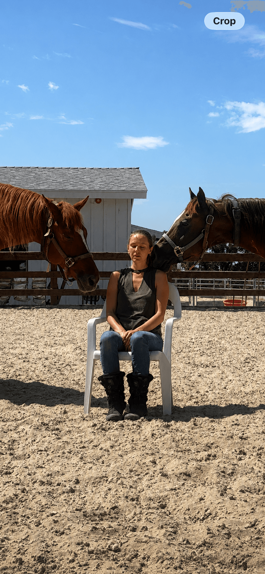 Woman sitting on a white chair outdoors with two horses on either side, a building and blue sky in background.