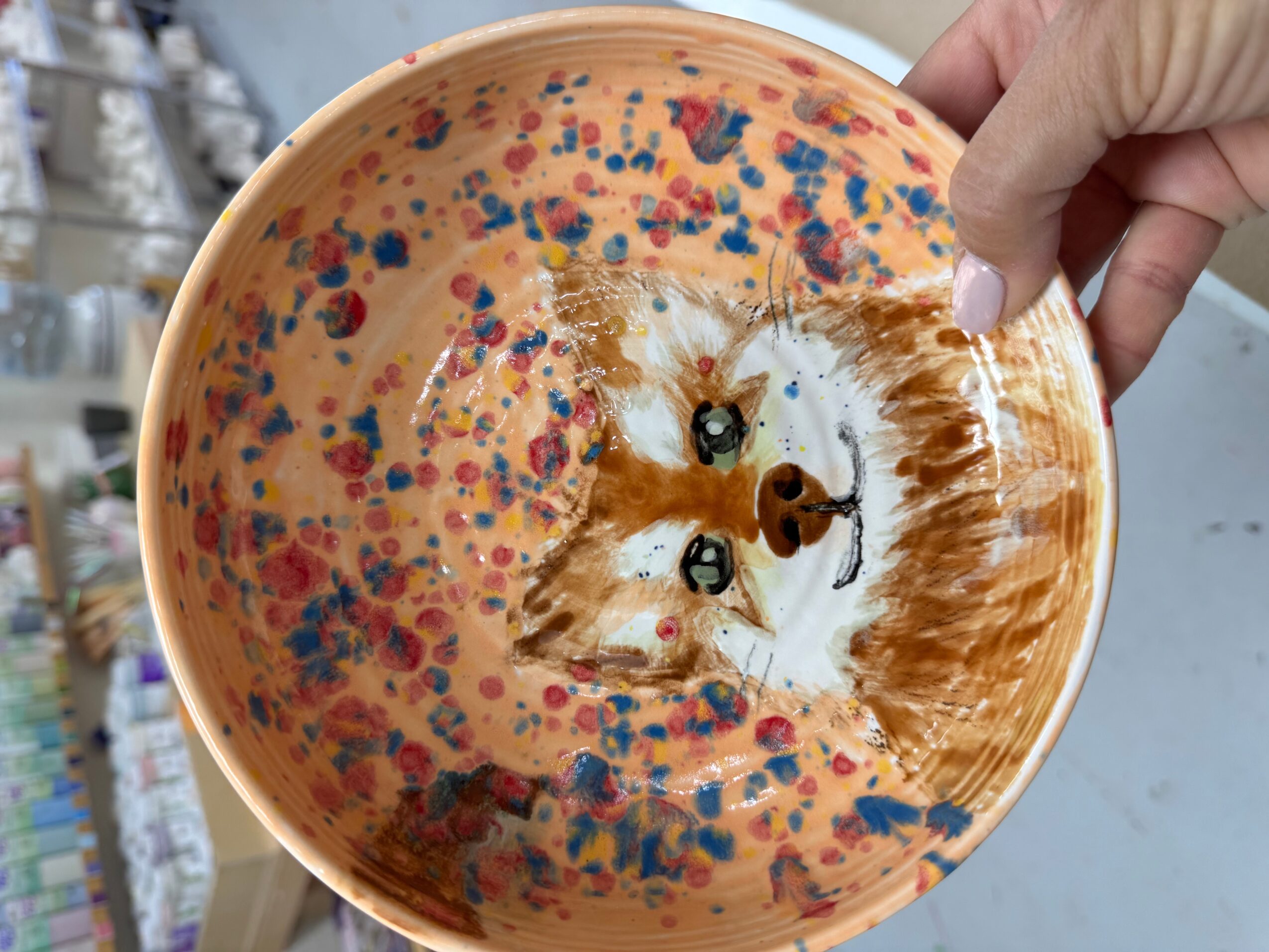 Hand holding a bowl with a painted dog face and colorful splatters inside, background shows store shelves.