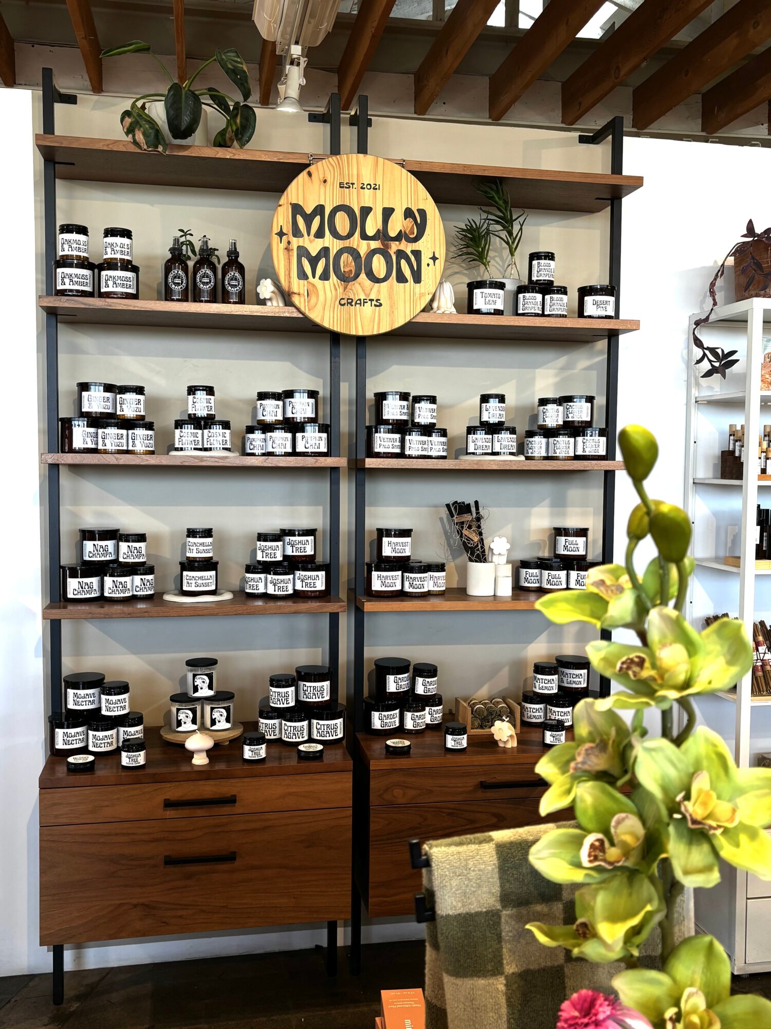 Display shelf with jars and bottles, round sign reading 'MOLLY MOON', plant in foreground, wooden ceiling, and window.