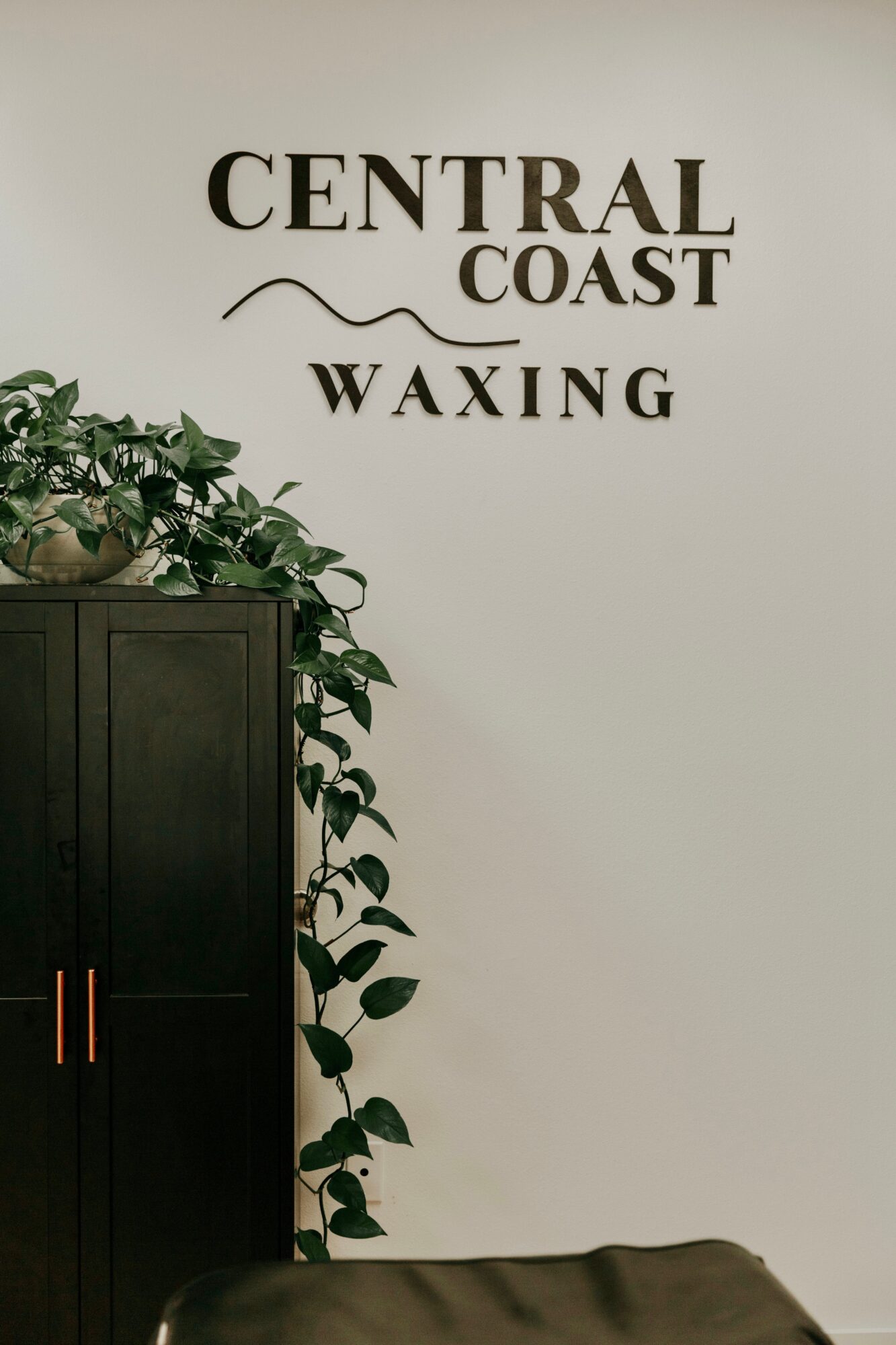Wall with text 'Central Coast Waxing' and a plant on a cabinet, neutral background.