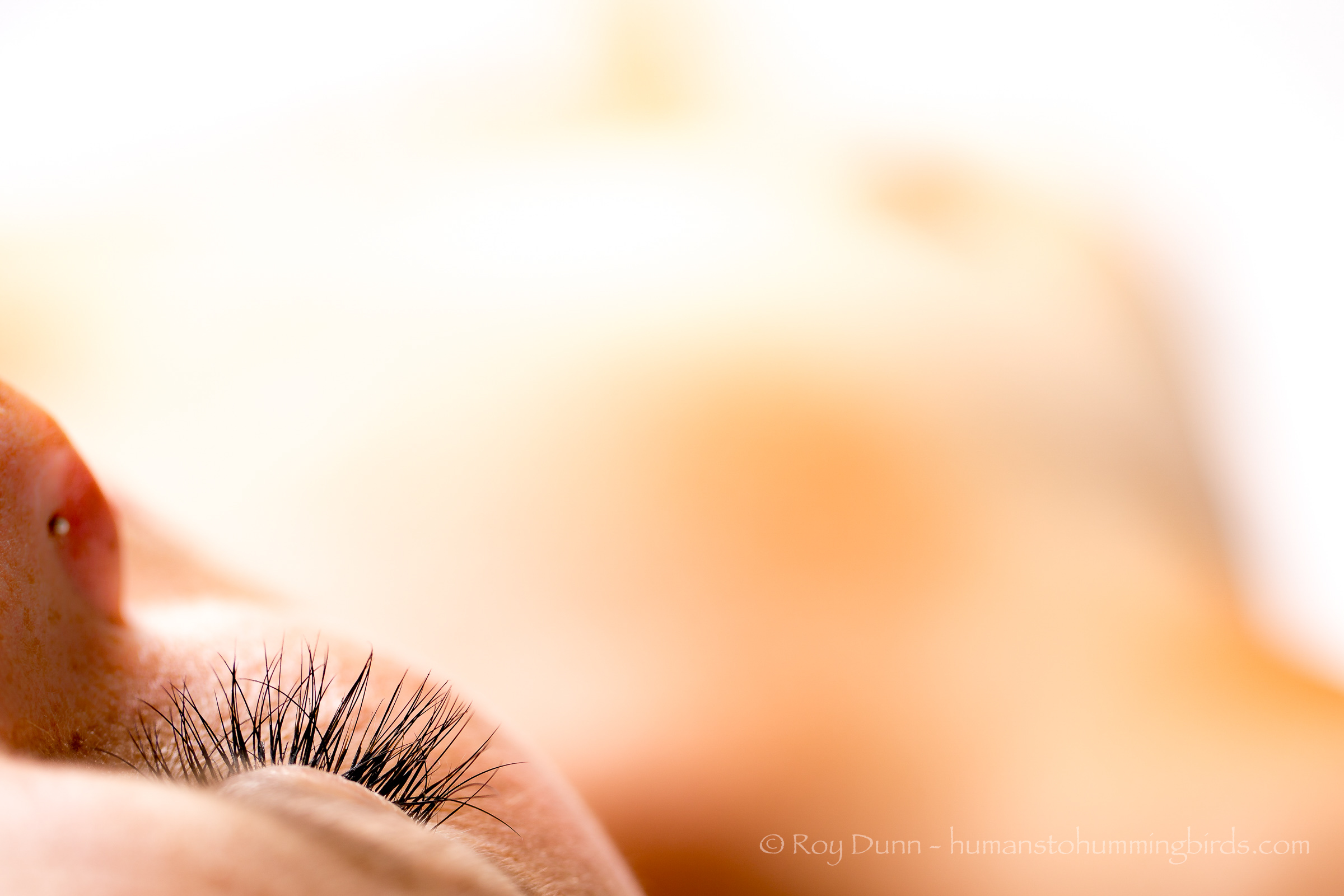 Close-up of a person's eye with long eyelashes, partially visible face, and blurred background.