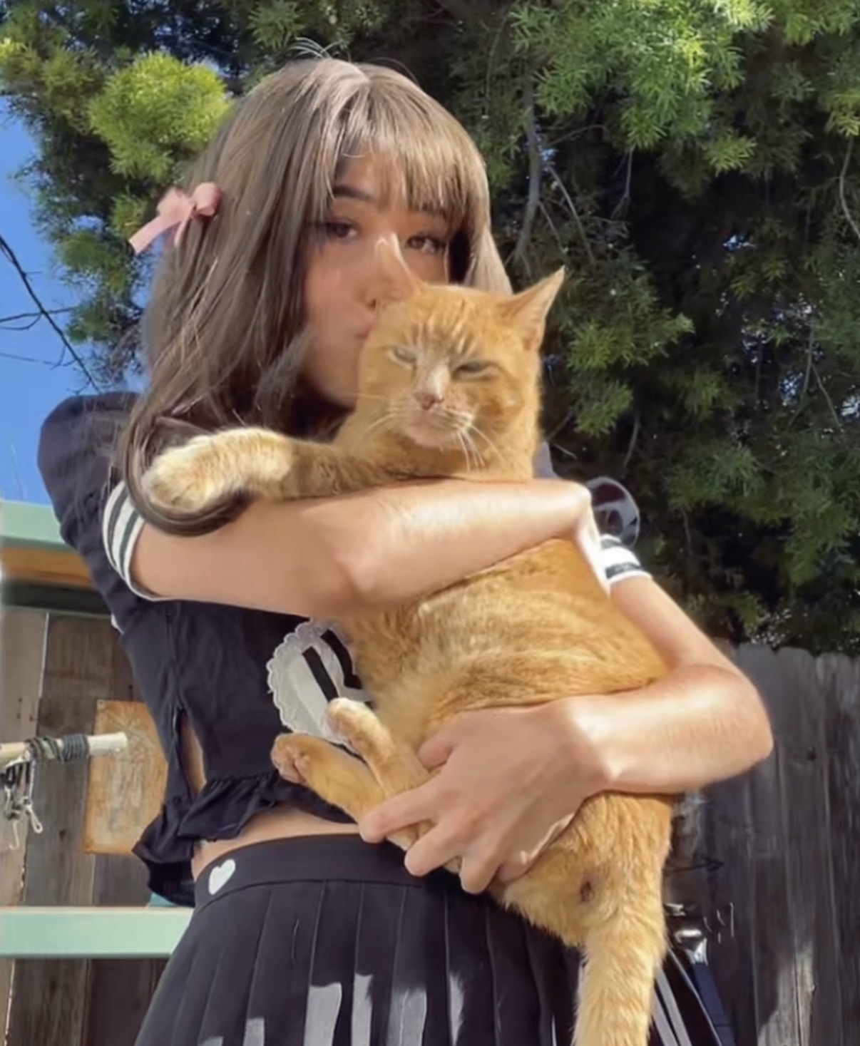 Person holding an orange cat outdoors with trees in the background.