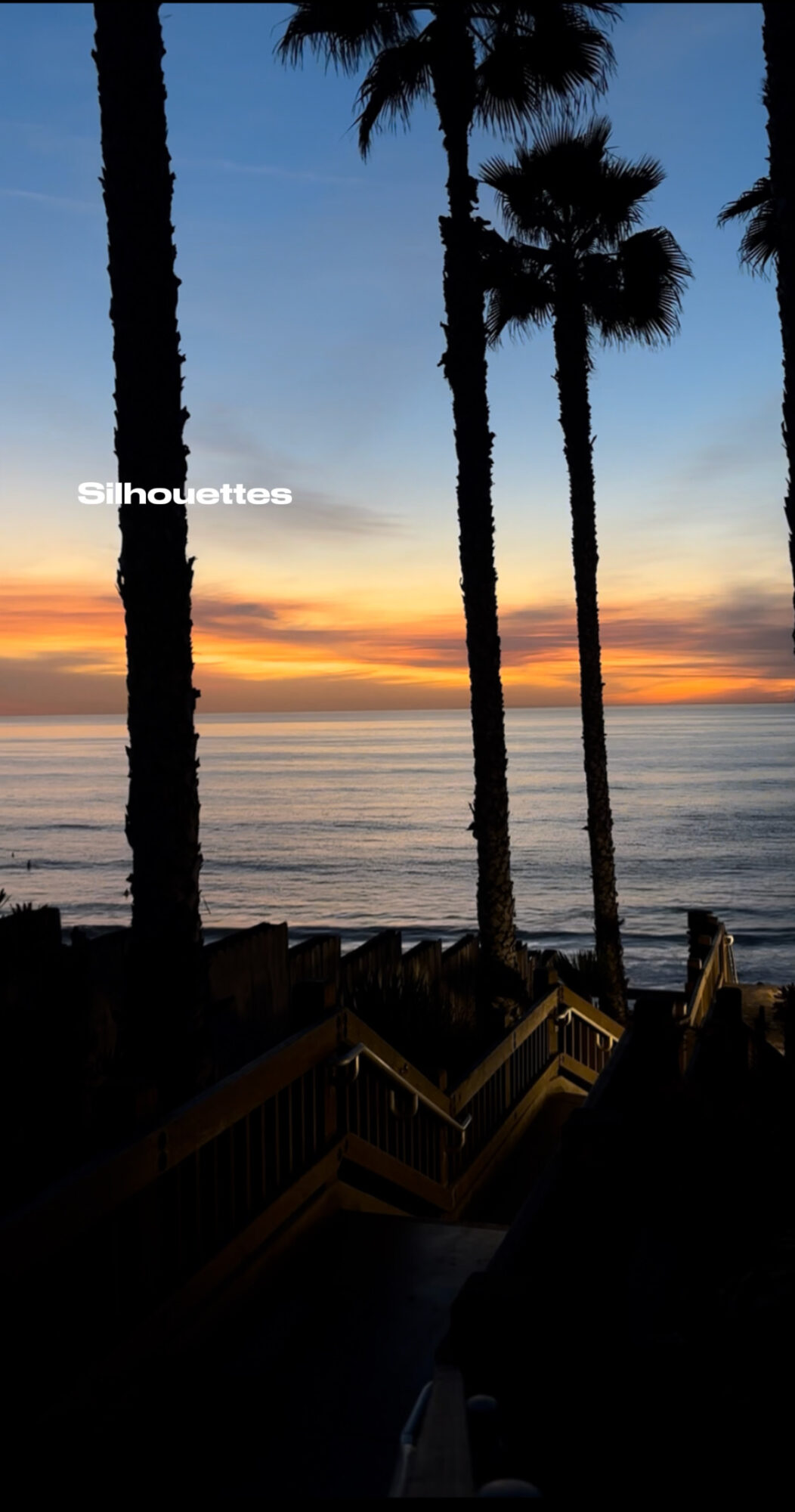 Silhouettes of palm trees against a sunset sky over the ocean, with a wooden staircase in the foreground.
