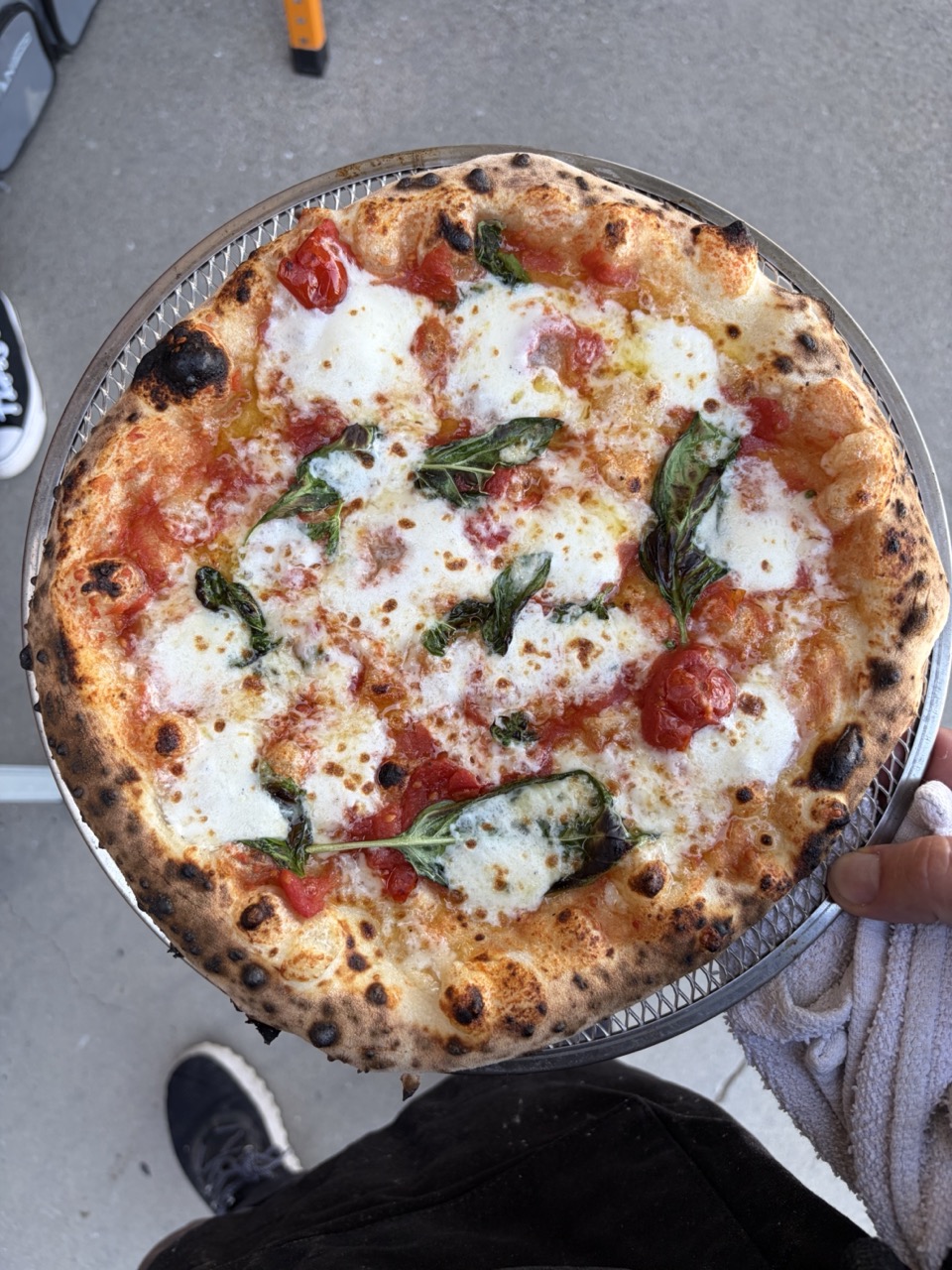 Pizza with cheese, tomato, basil, and some green herbs on a round tray, held by a person wearing a white sleeve.
