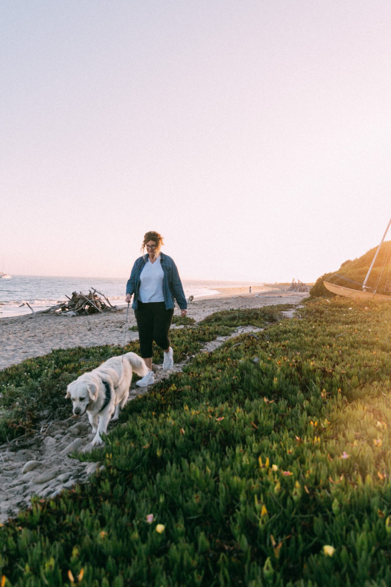 Person walking a dog along a beach with grass and water, sunset lighting, calm scene, clear sky, distant shoreline.