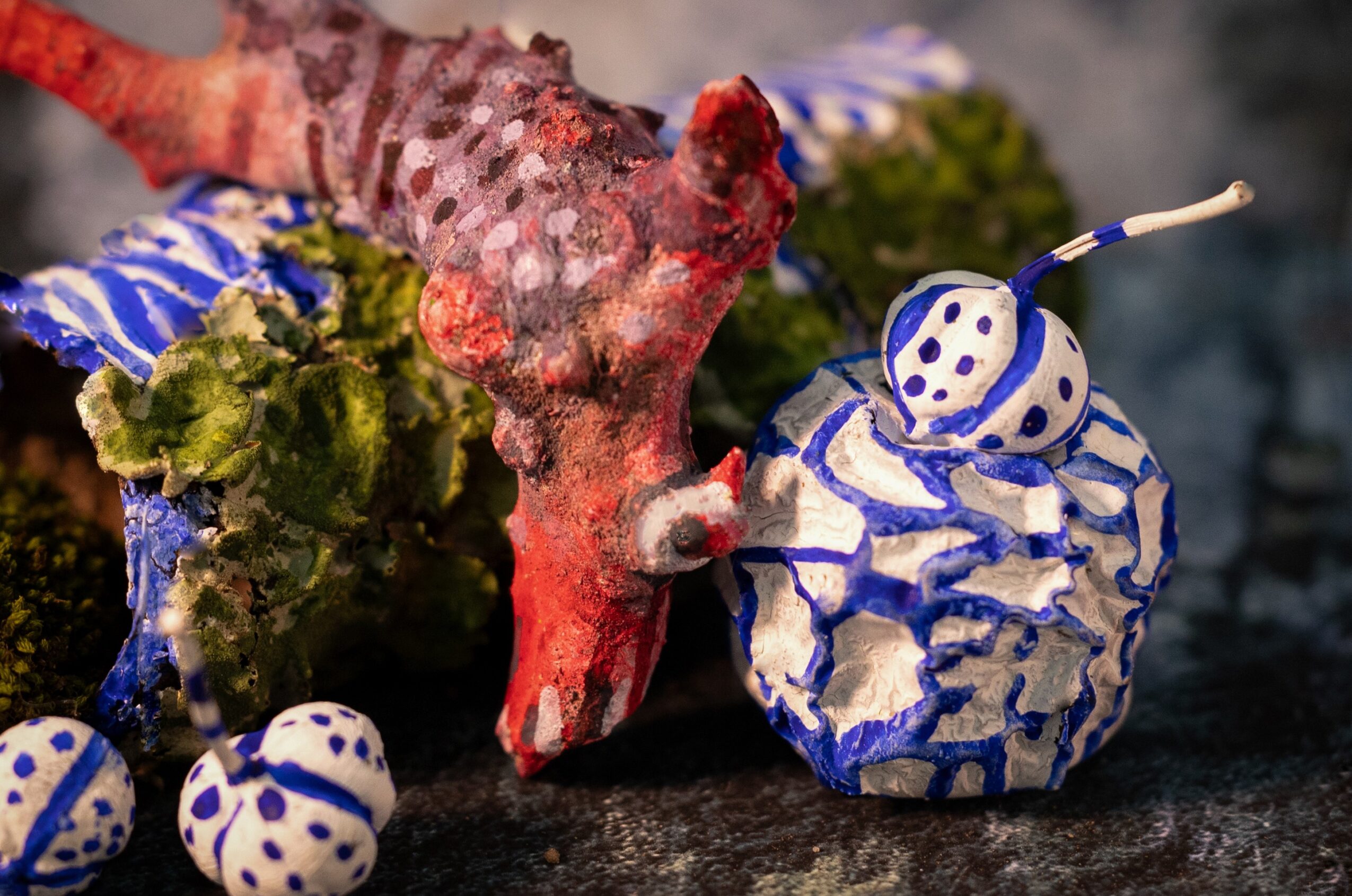 Close-up of a red and pink sea creature, possibly a nudibranch, with a blue and white patterned object nearby, and small white objects with blue spots.