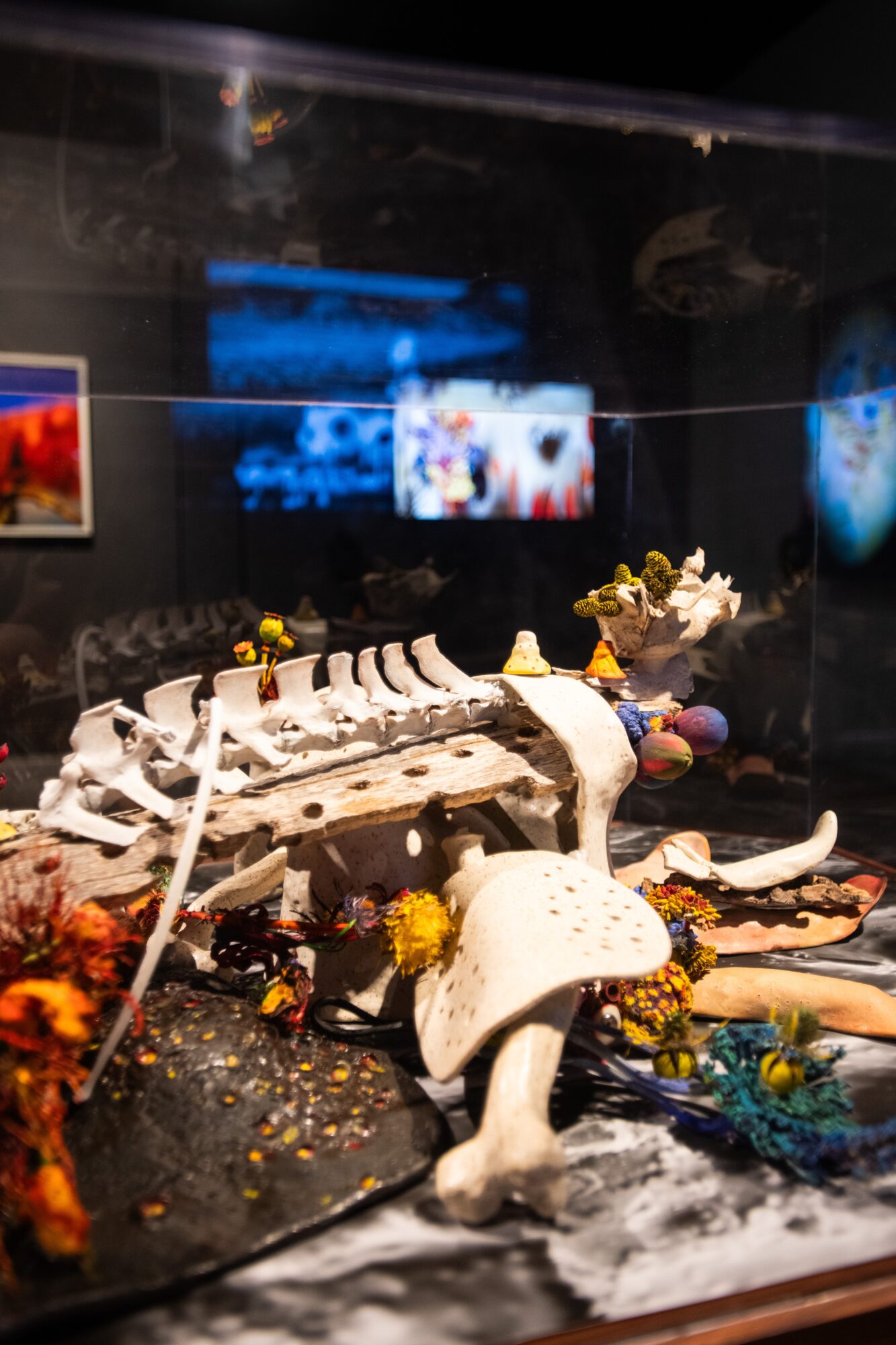 Display of various objects including mushrooms, flowers, and decorative items inside a glass case, with blurred screens in the background.