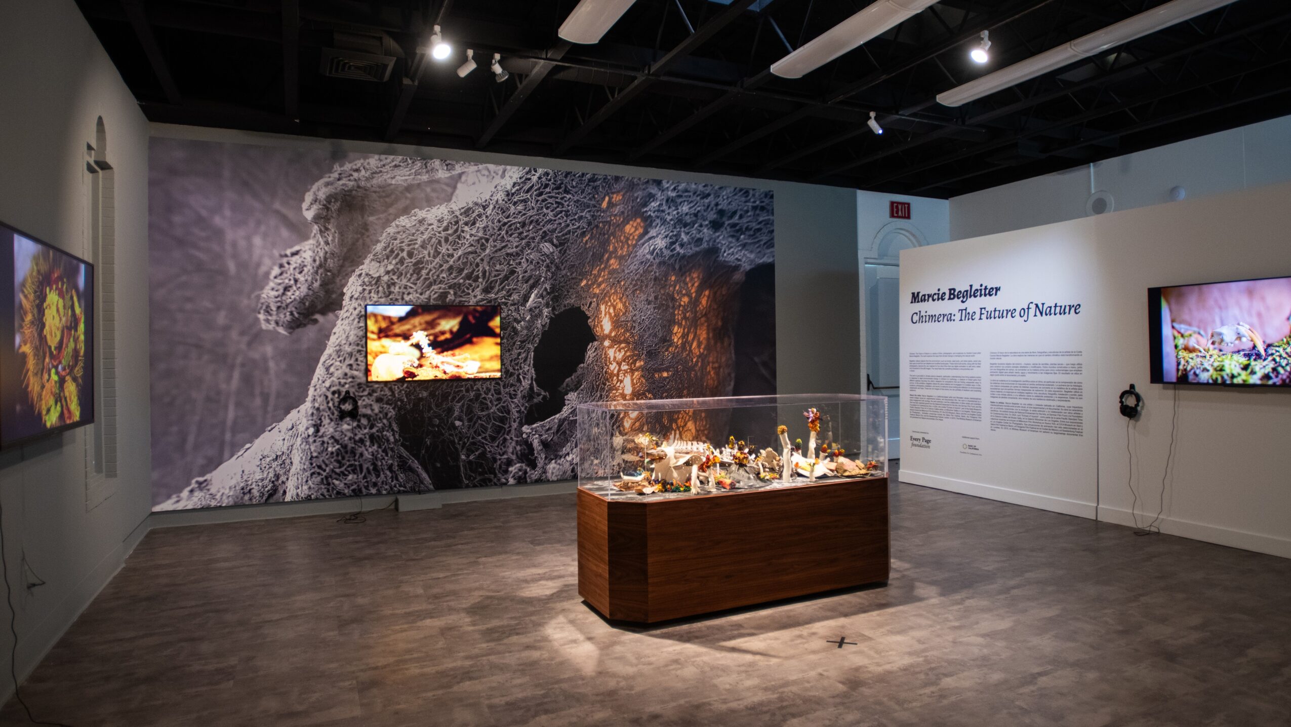 Museum exhibit with a large lunar surface image, display case with models, and informational panels.