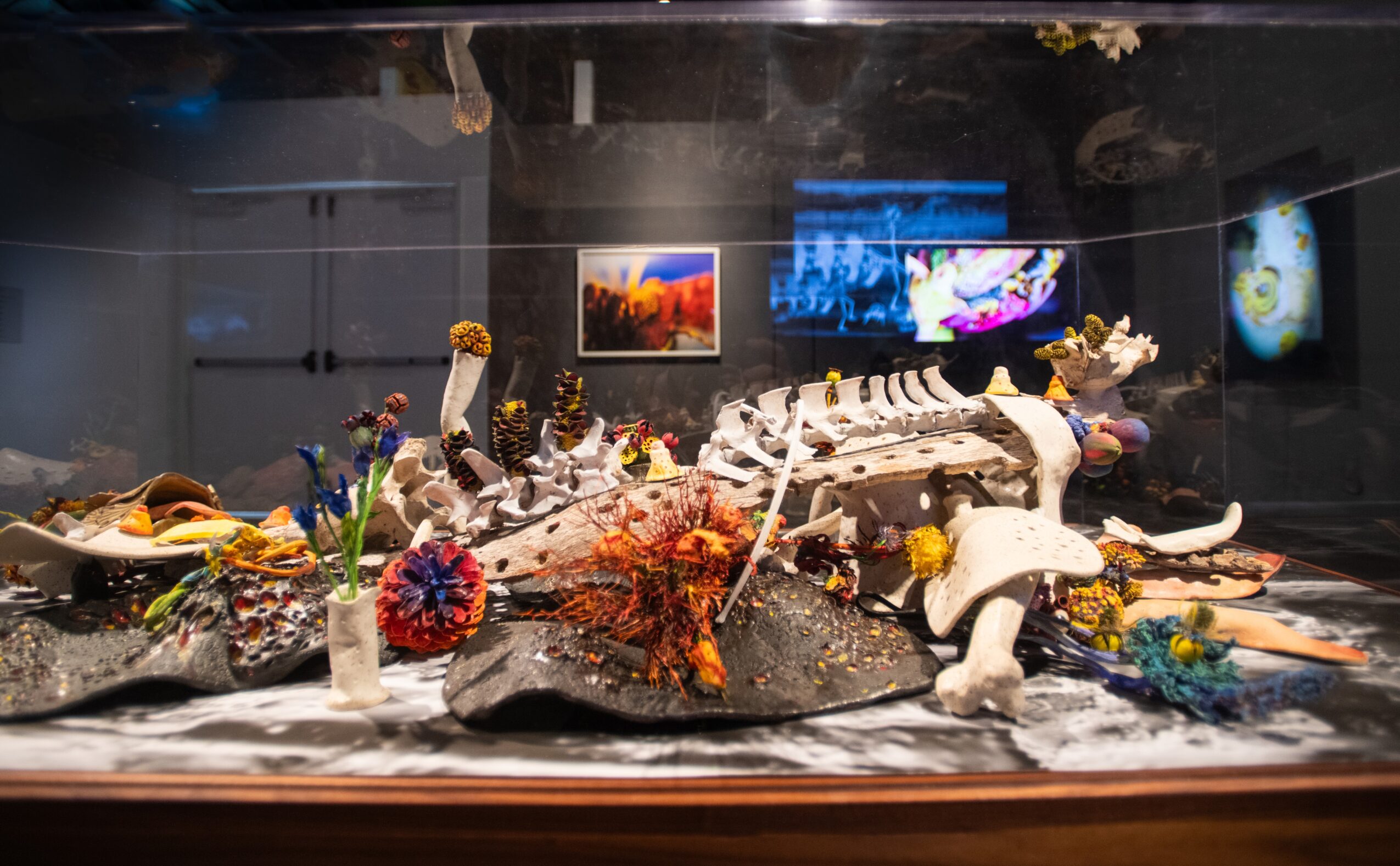 Display case with a large animal skeleton, flowers, and various objects, with colorful artwork on the wall behind.