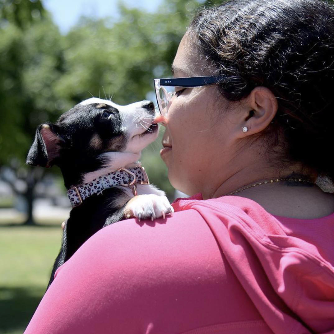 Person holding a small dog close, dog licking person's face outdoors, trees in background, sunny day.