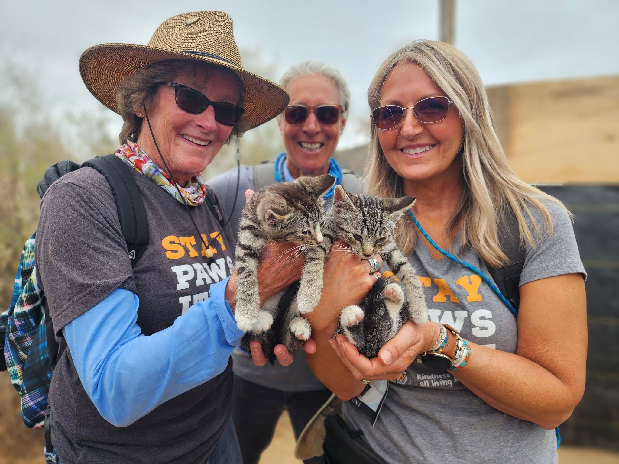 Three women outdoors holding a tabby cat, smiling, wearing sunglasses and casual clothing.