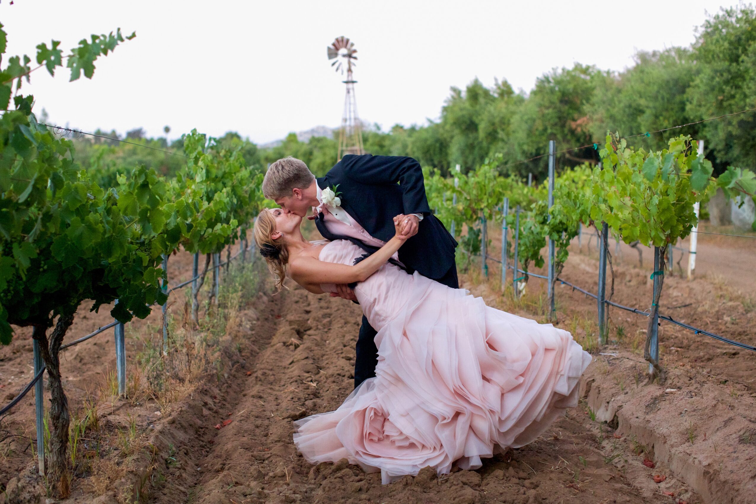 A couple dancing in a vineyard with green vines and a windmill in the background.