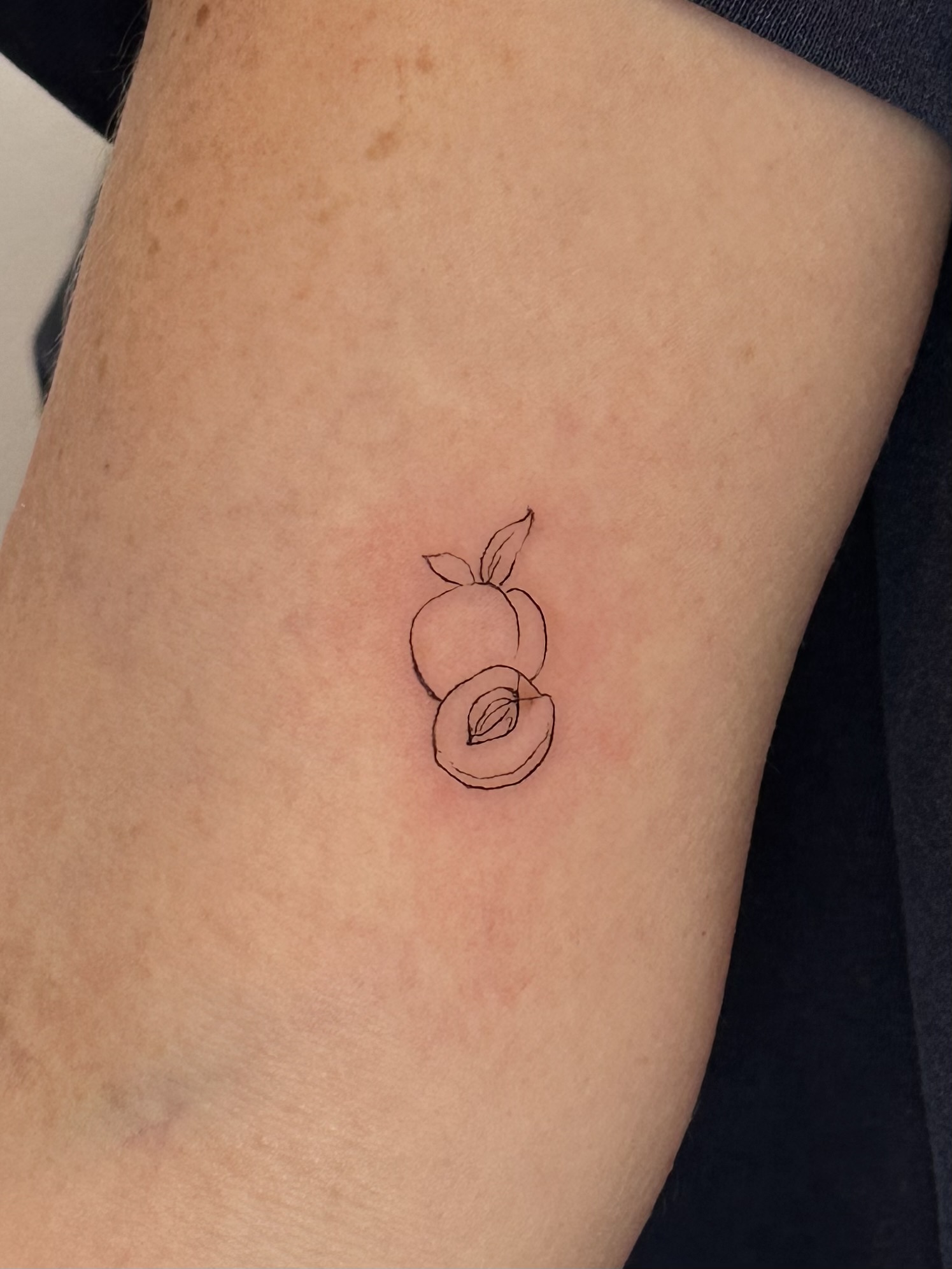 Small line drawing of a peach with a leaf, and a sliced peach below it, on skin.