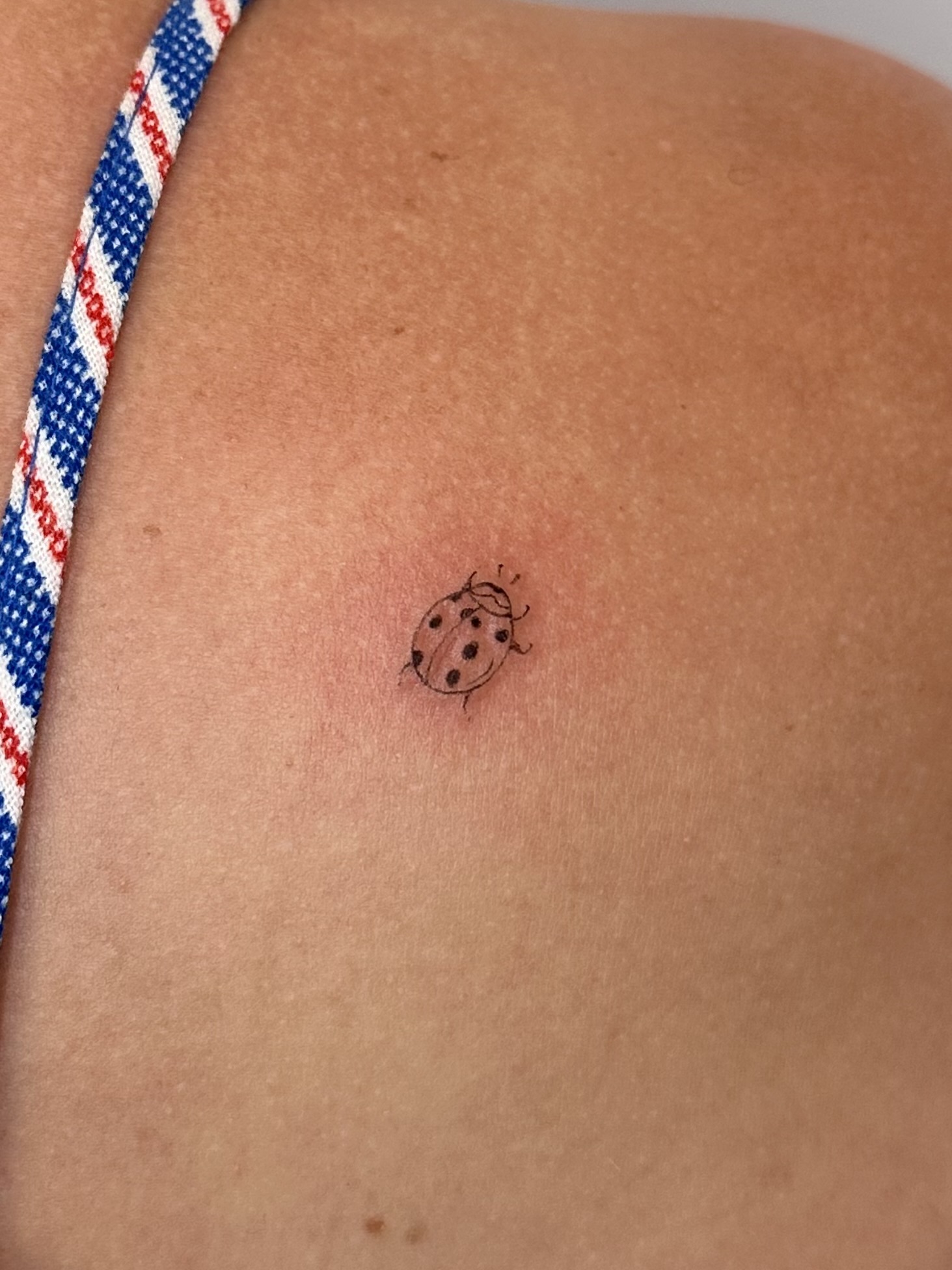 Small ladybug tattoo on skin, with a fabric strap nearby, close-up view.