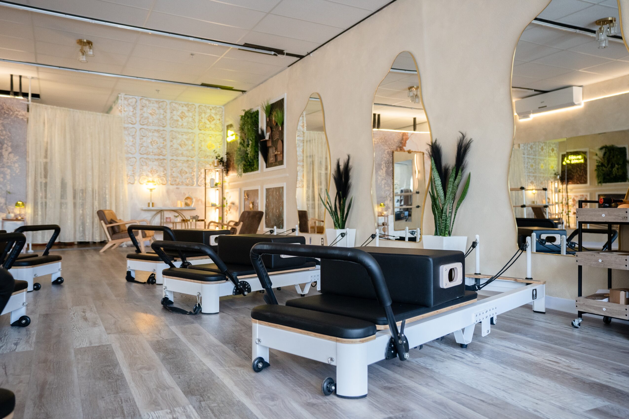 Medical treatment room with beds, plants, and decorative wall, bright lighting, and wooden flooring.