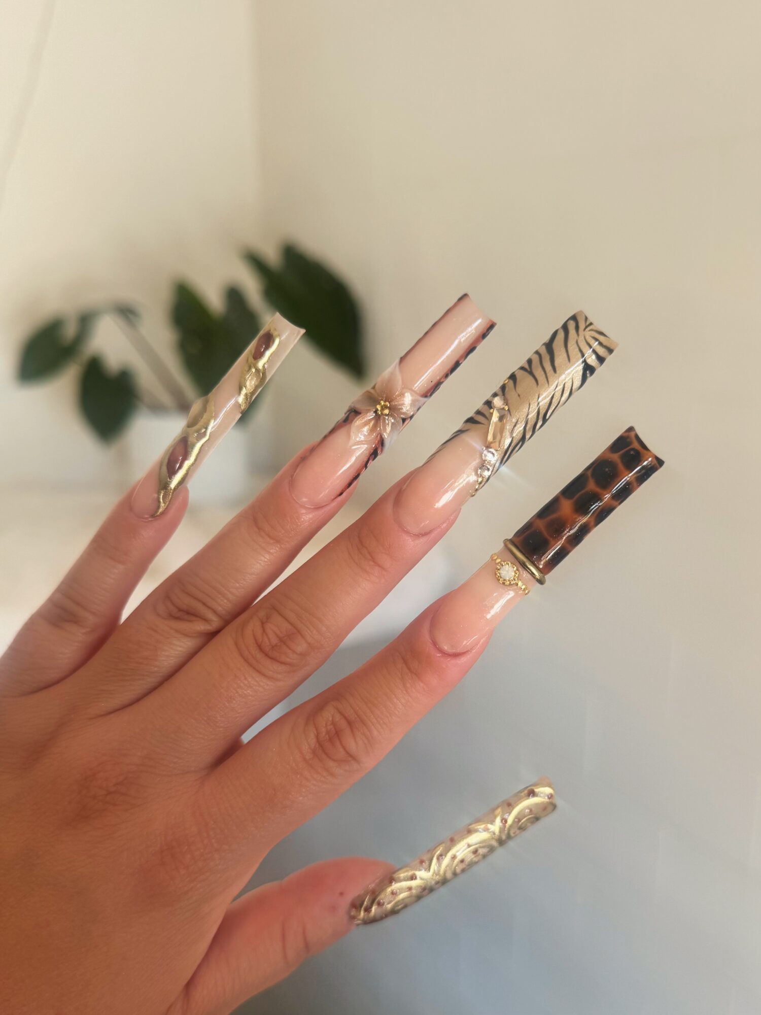 Hand with five fingers, each with decorated long nails, against a plain background with a plant in the distance.