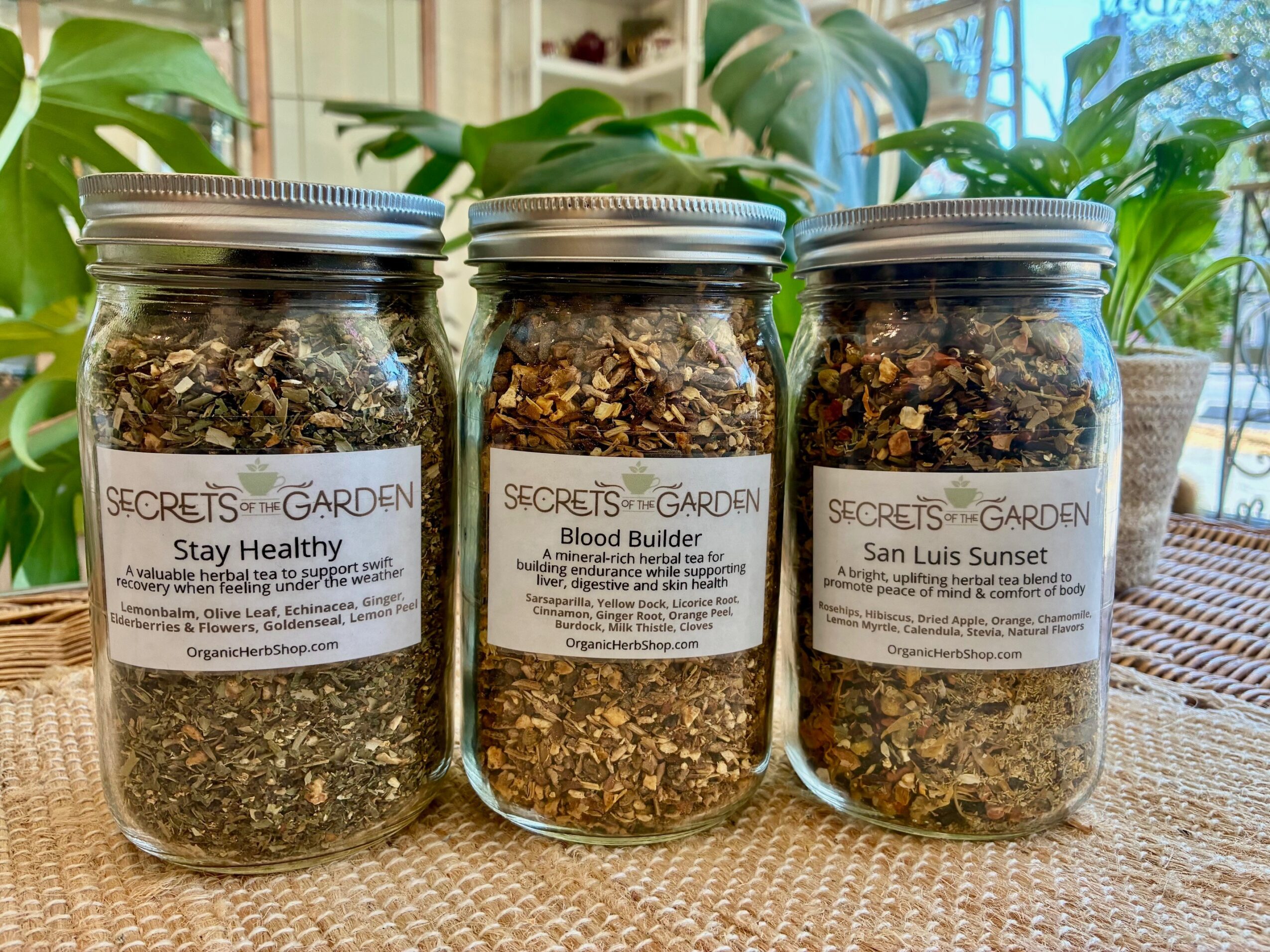 Three glass jars with metal lids containing dried herbs or tea leaves, labeled 'Stay Healthy,' 'Blood Builder,' and 'San Luis Sunset,' on a wooden surface with green plants in the background.