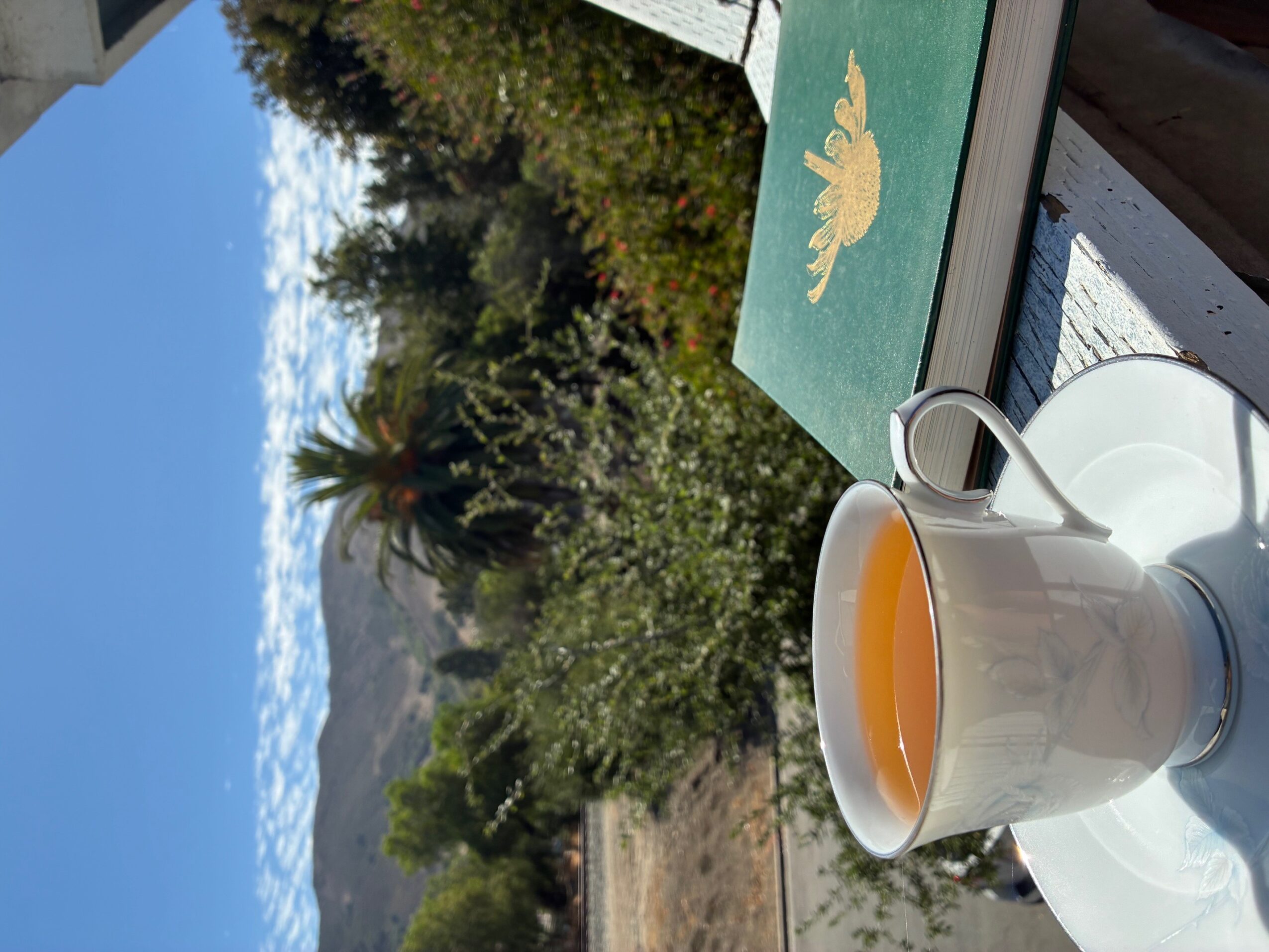 A white mug with orange liquid on a white surface, outdoors with trees and a mountain in the background.