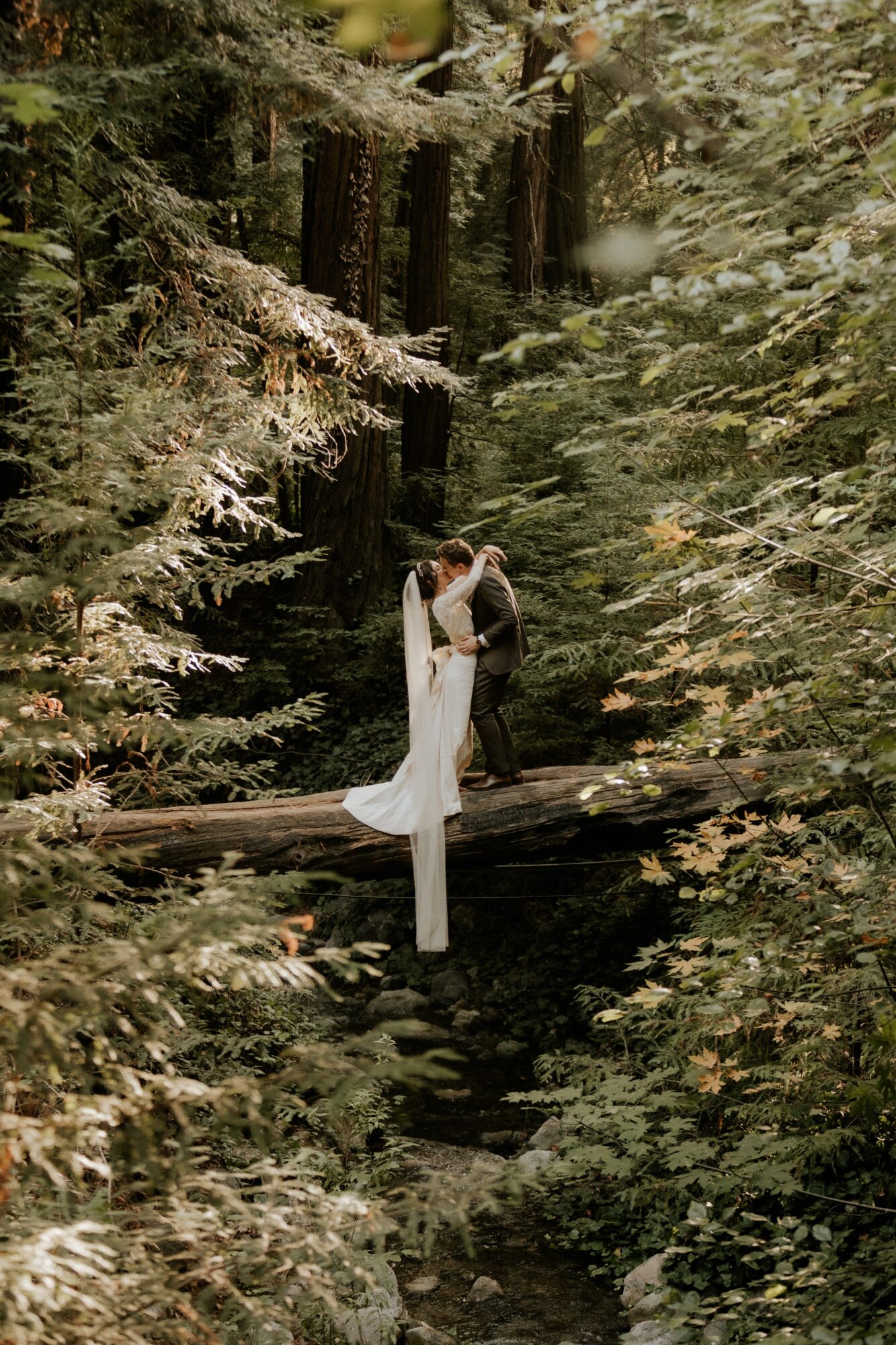 A couple in wedding attire sharing a kiss on a narrow wooden bridge in a dense forest, surrounded by tall trees and greenery.