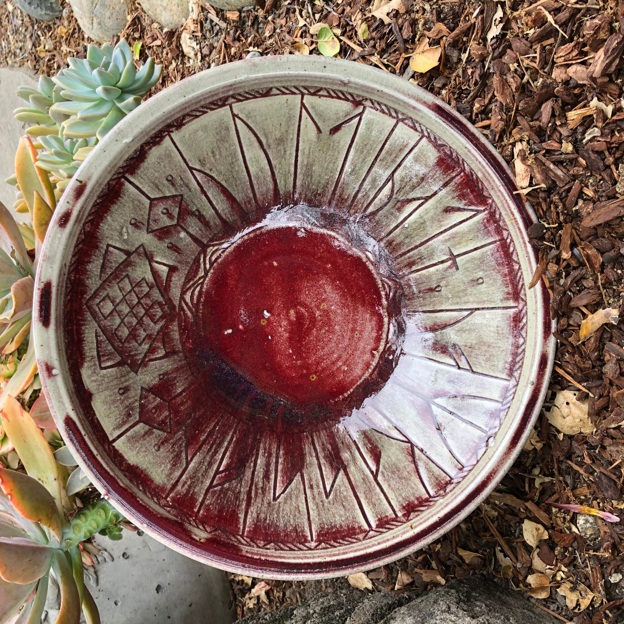 A round glass bowl with a red liquid inside, placed on soil with plants nearby, viewed from above.