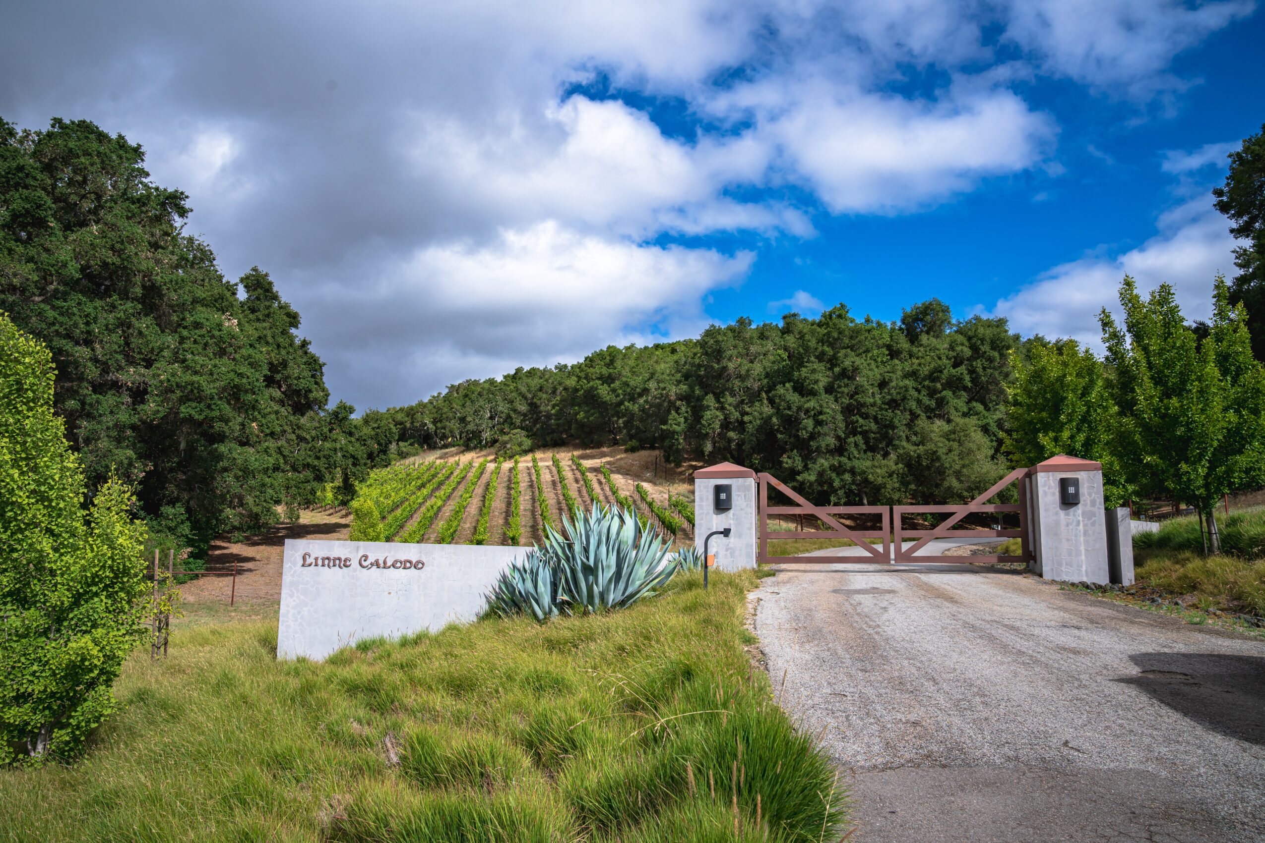 Entrance gate to a vineyard with a white wall and a sign, surrounded by green trees and a cloudy sky.