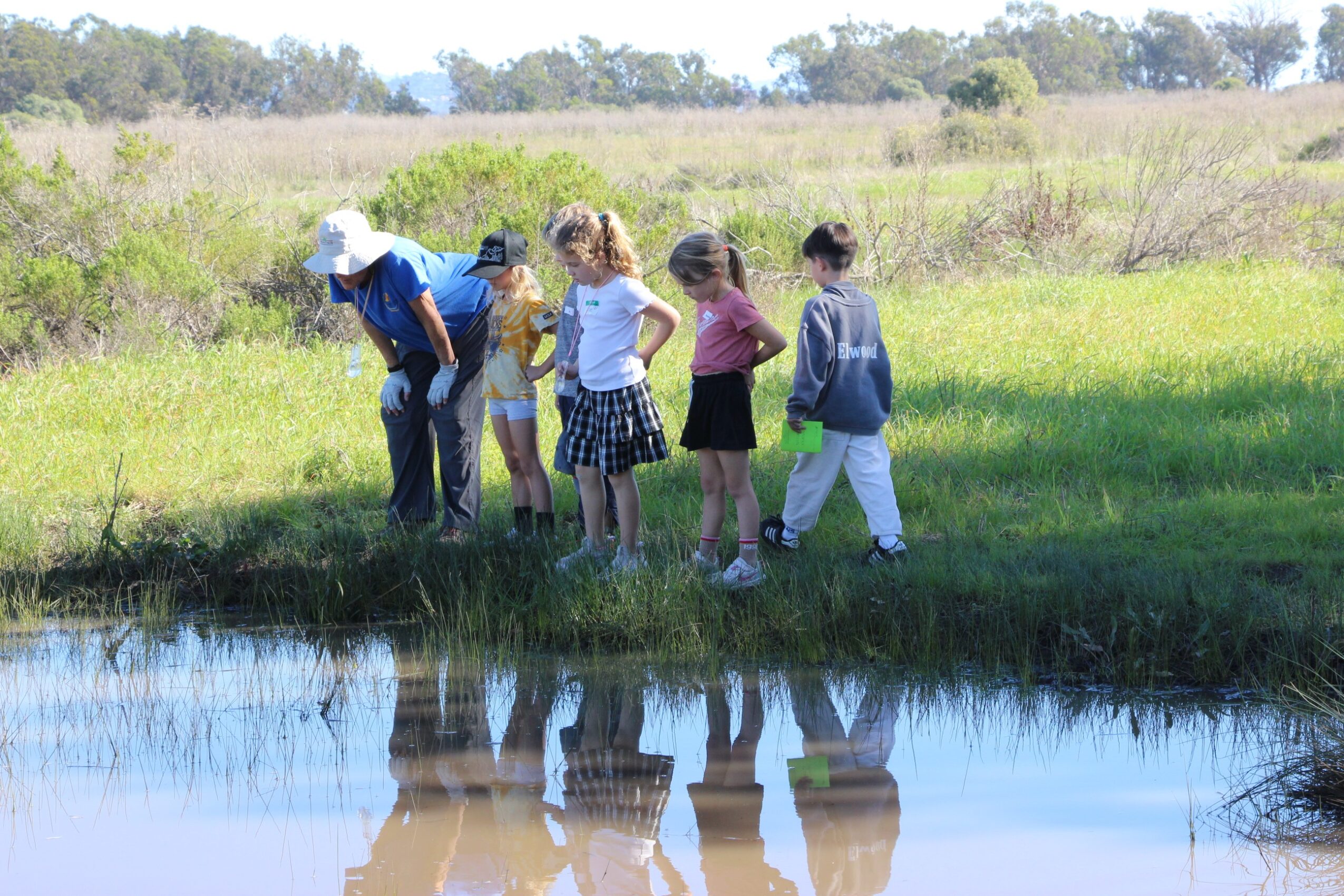 Group of children and an adult standing by a pond in a grassy field, looking at the water, with trees in the background.
