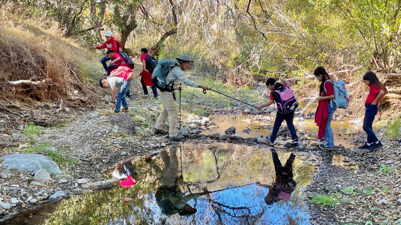 Group of people walking along a creek in a wooded area, some crossing the water, with trees and foliage around.