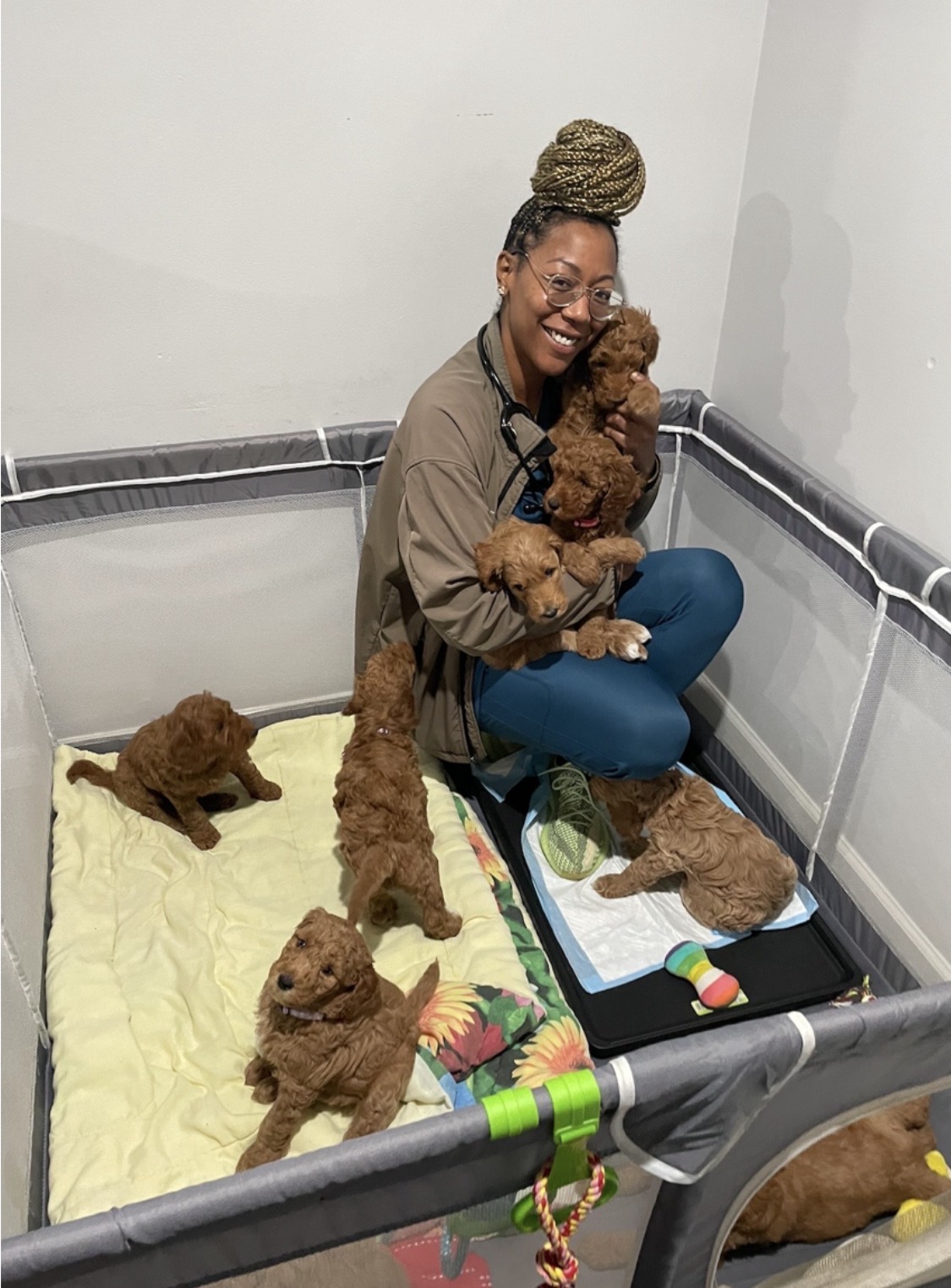 Person with braided hair and glasses sitting on a platform surrounded by puppies, holding one puppy, in a room with white walls.