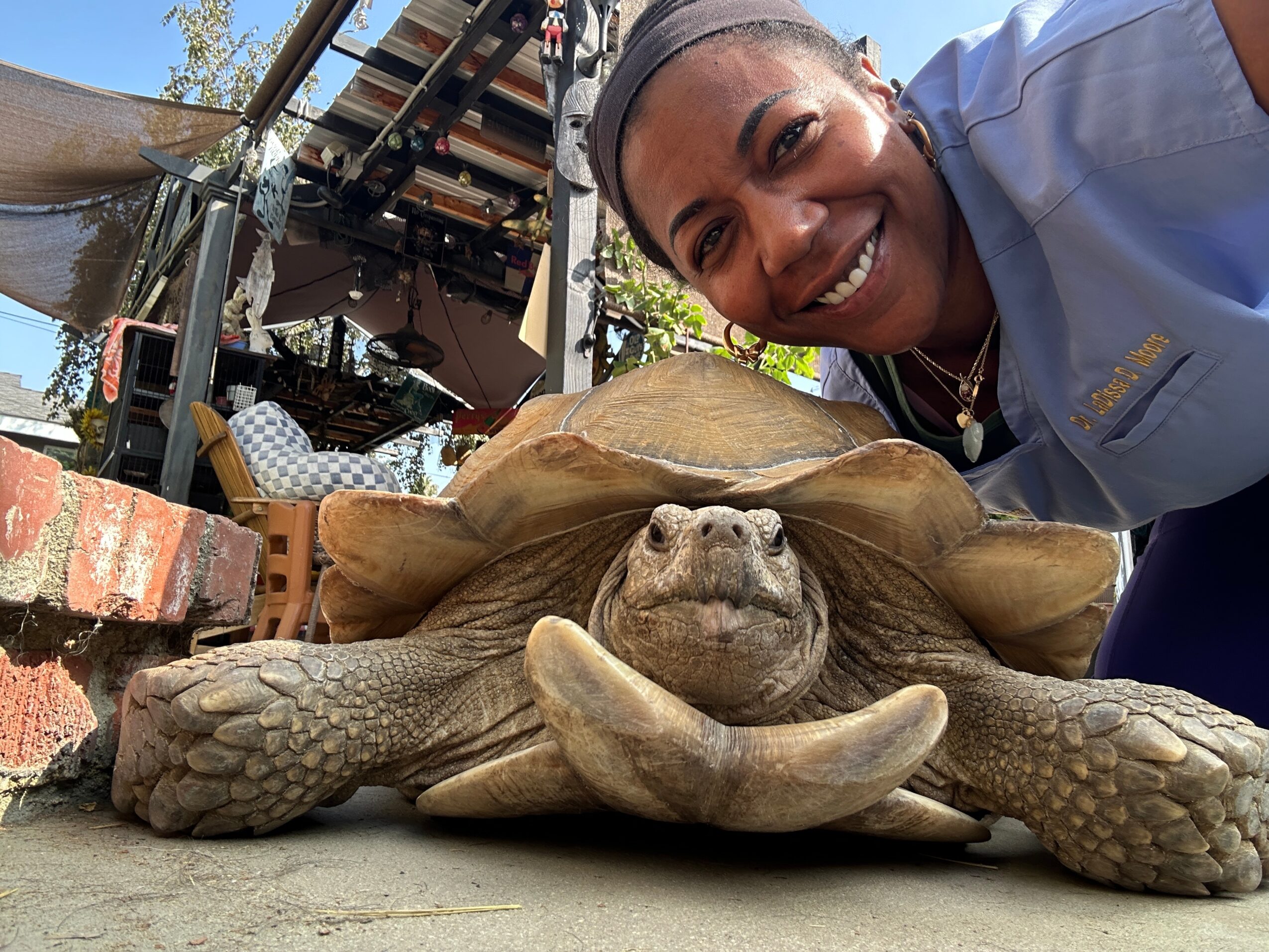 Smiling woman leaning over a large tortoise outdoors, with a brick wall and equipment in the background.