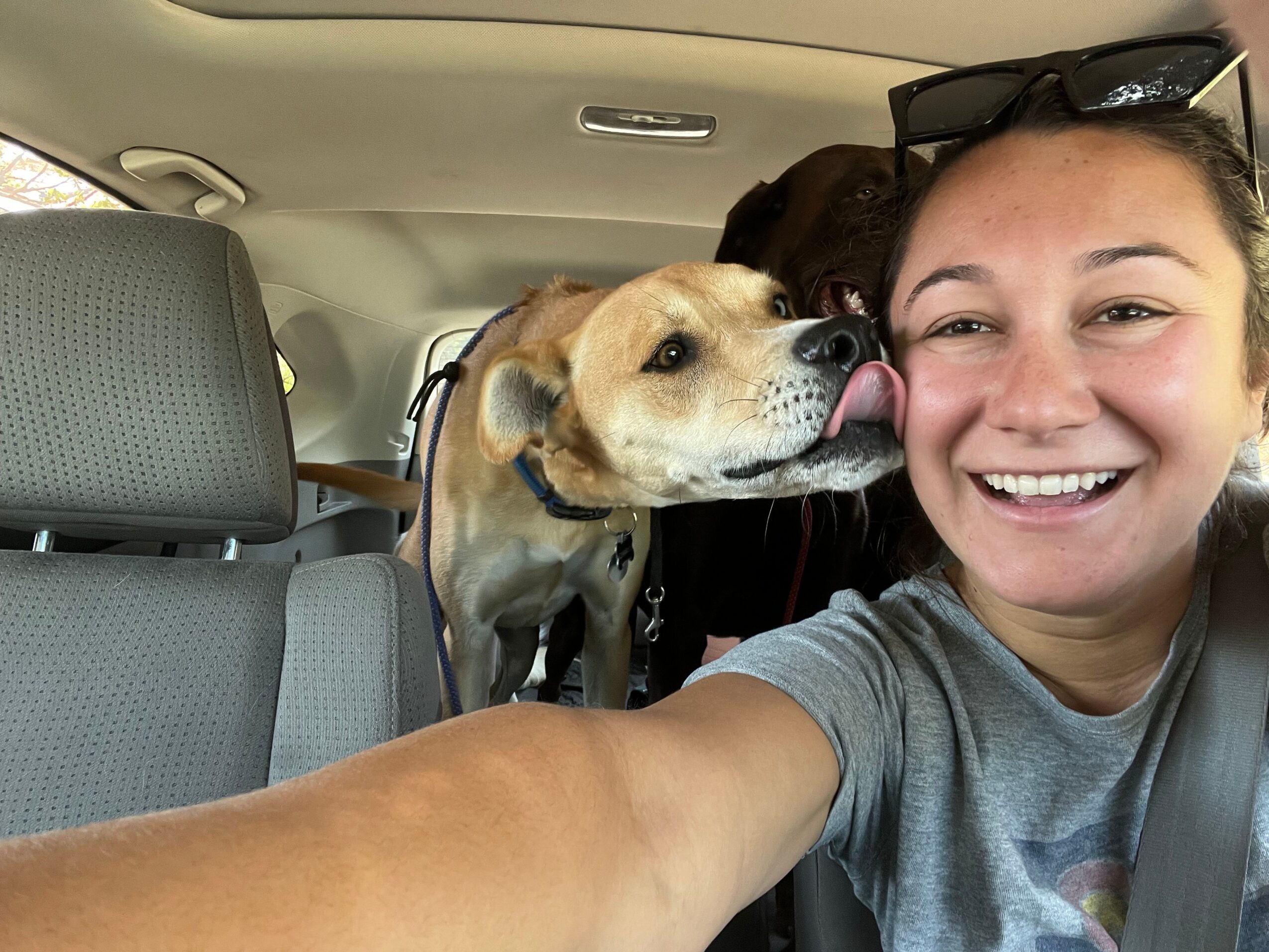 Person smiling with a dog licking their face inside a vehicle, seats visible in the background.