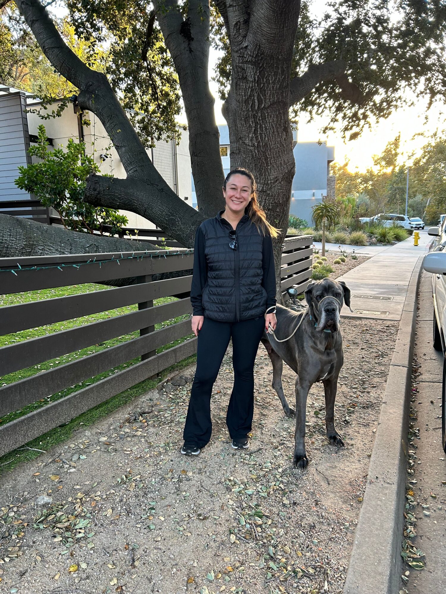 Woman standing next to a dog on a leash, outdoors near a tree and a park bench, with sunlight filtering through trees.
