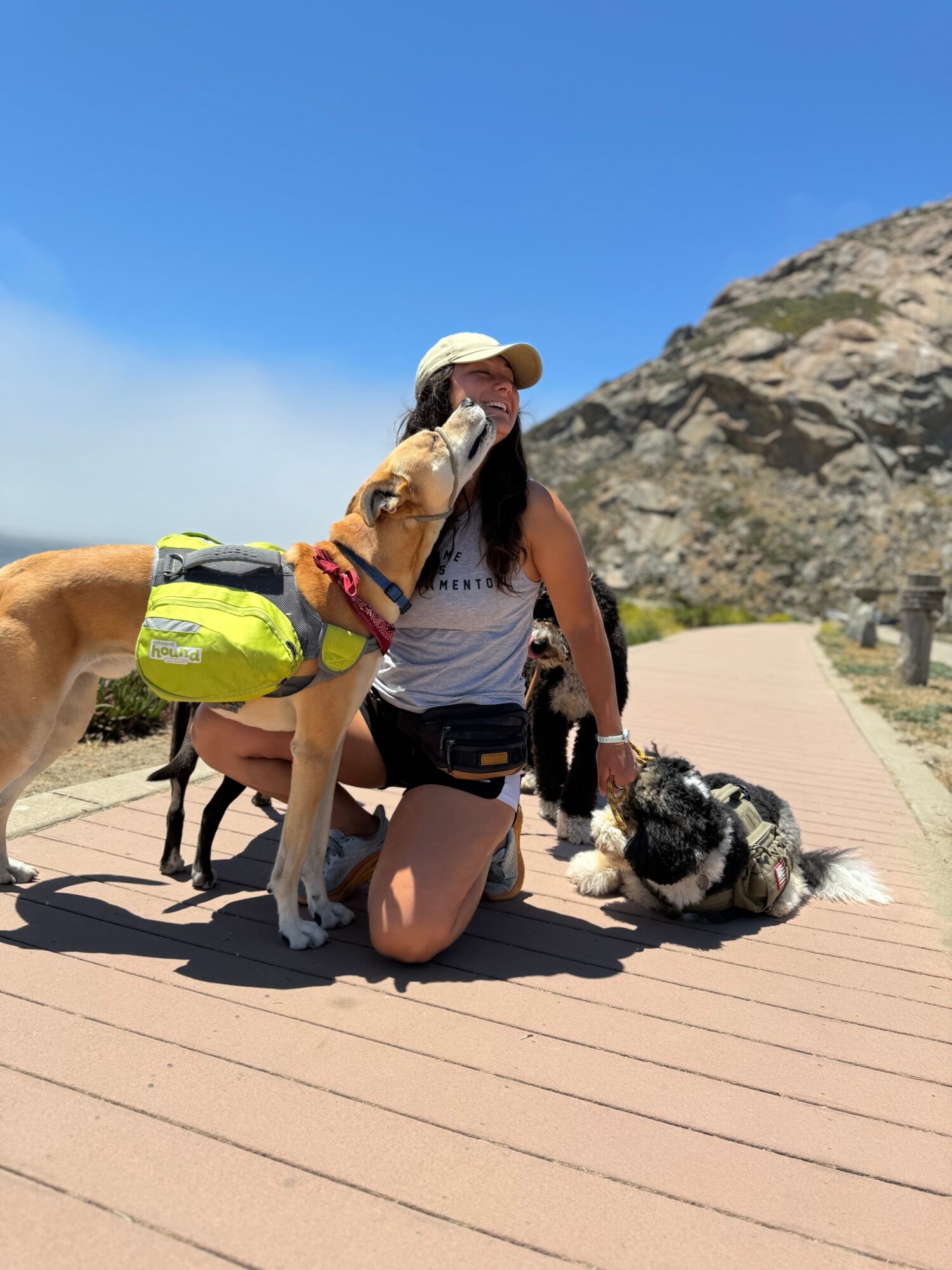 Person kneeling on a wooden path with two dogs, one licking her face, outdoors with rocky hills and blue sky.