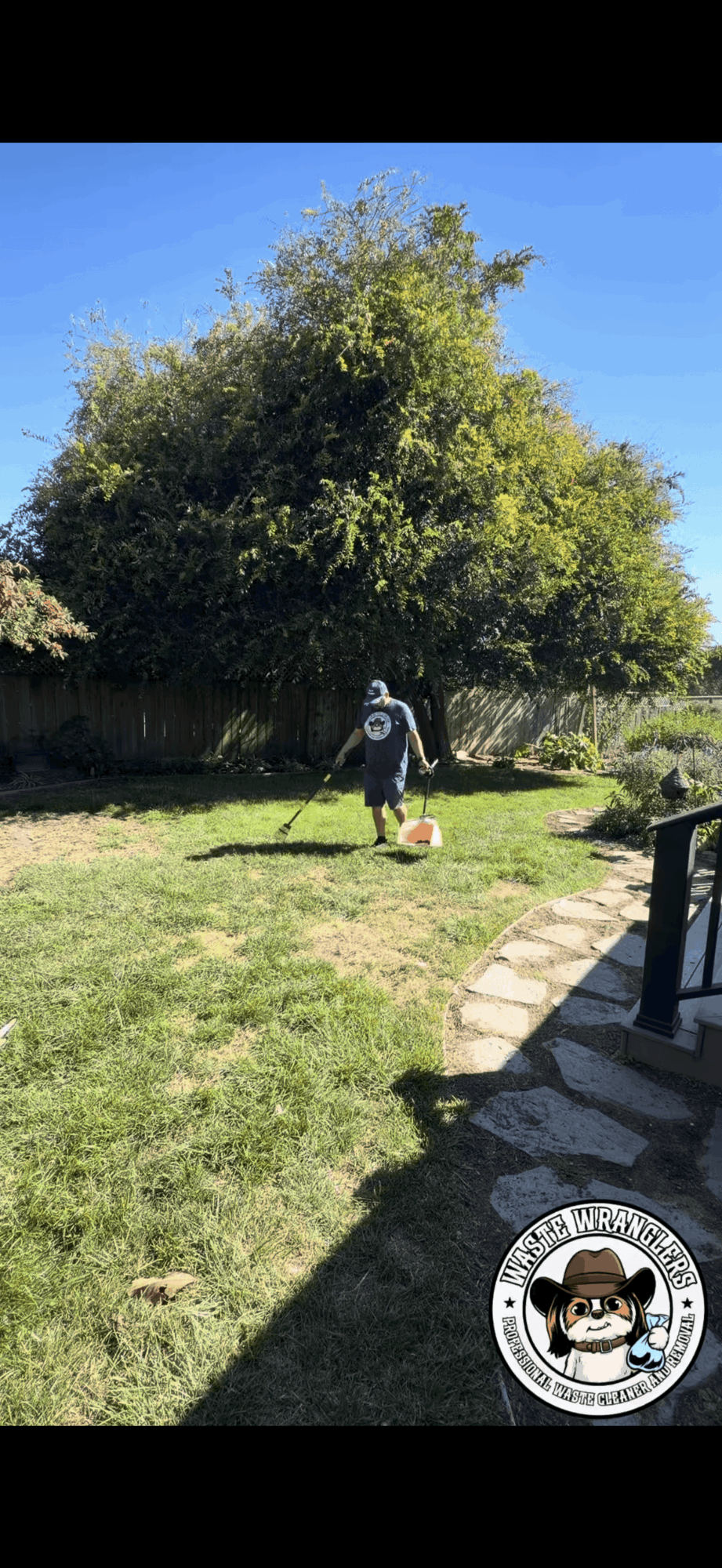 Person standing in a garden with trees, grass, and a stone pathway, holding a gardening tool, with a clear blue sky.