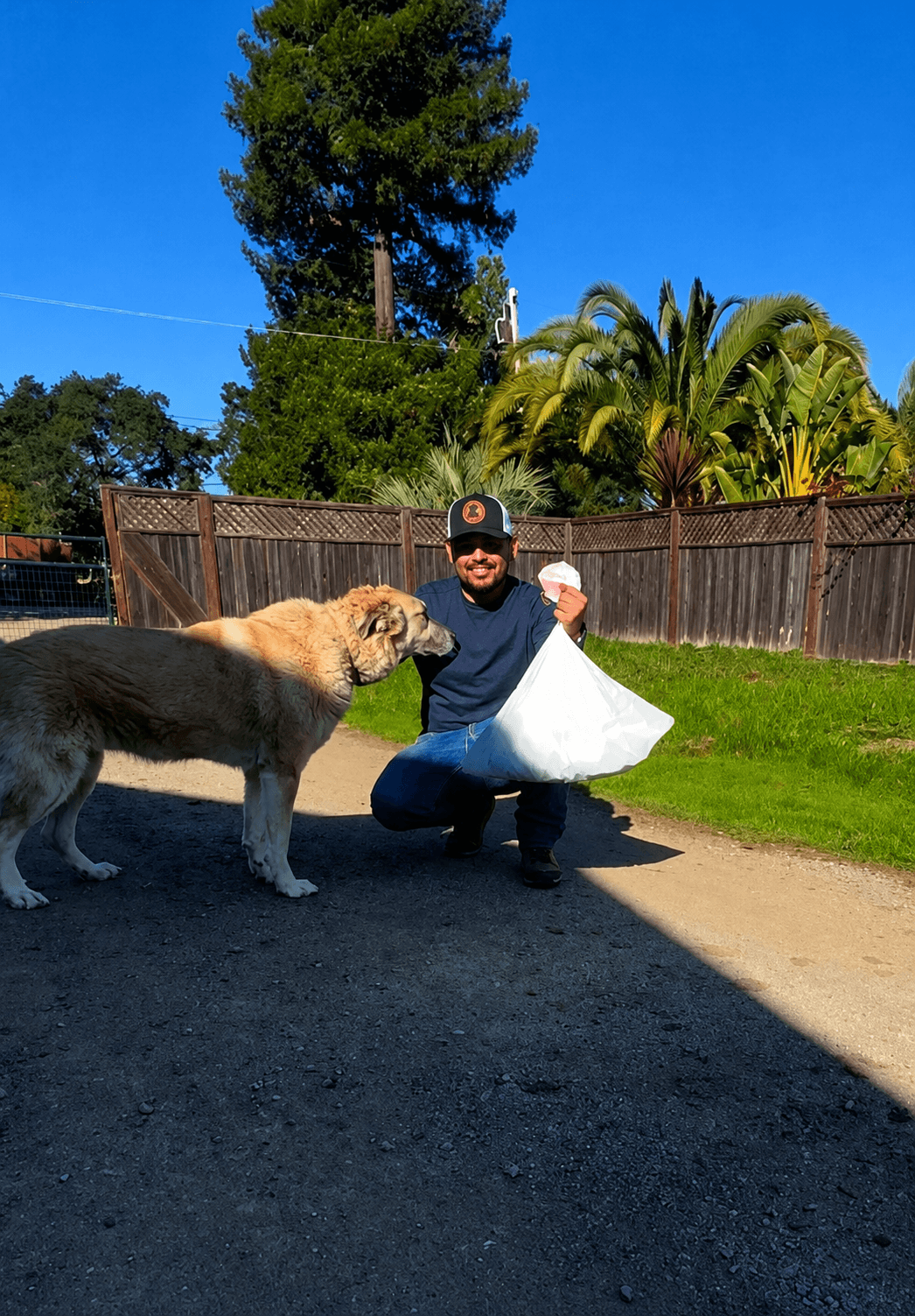 Person kneeling outdoors with a dog, holding a white bag, in a backyard with trees and a wooden fence