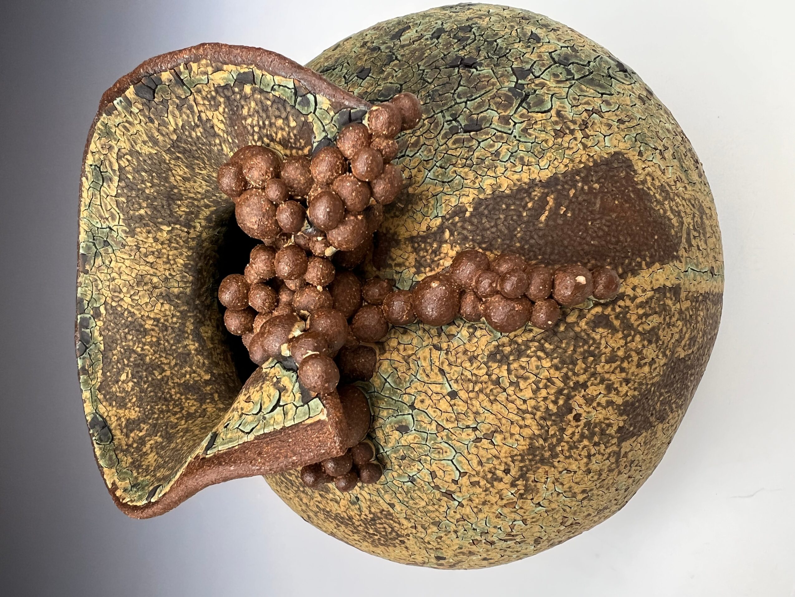 Round fruit with a rough, mottled surface and a cluster of small, brown, spherical seeds attached to a cut section.