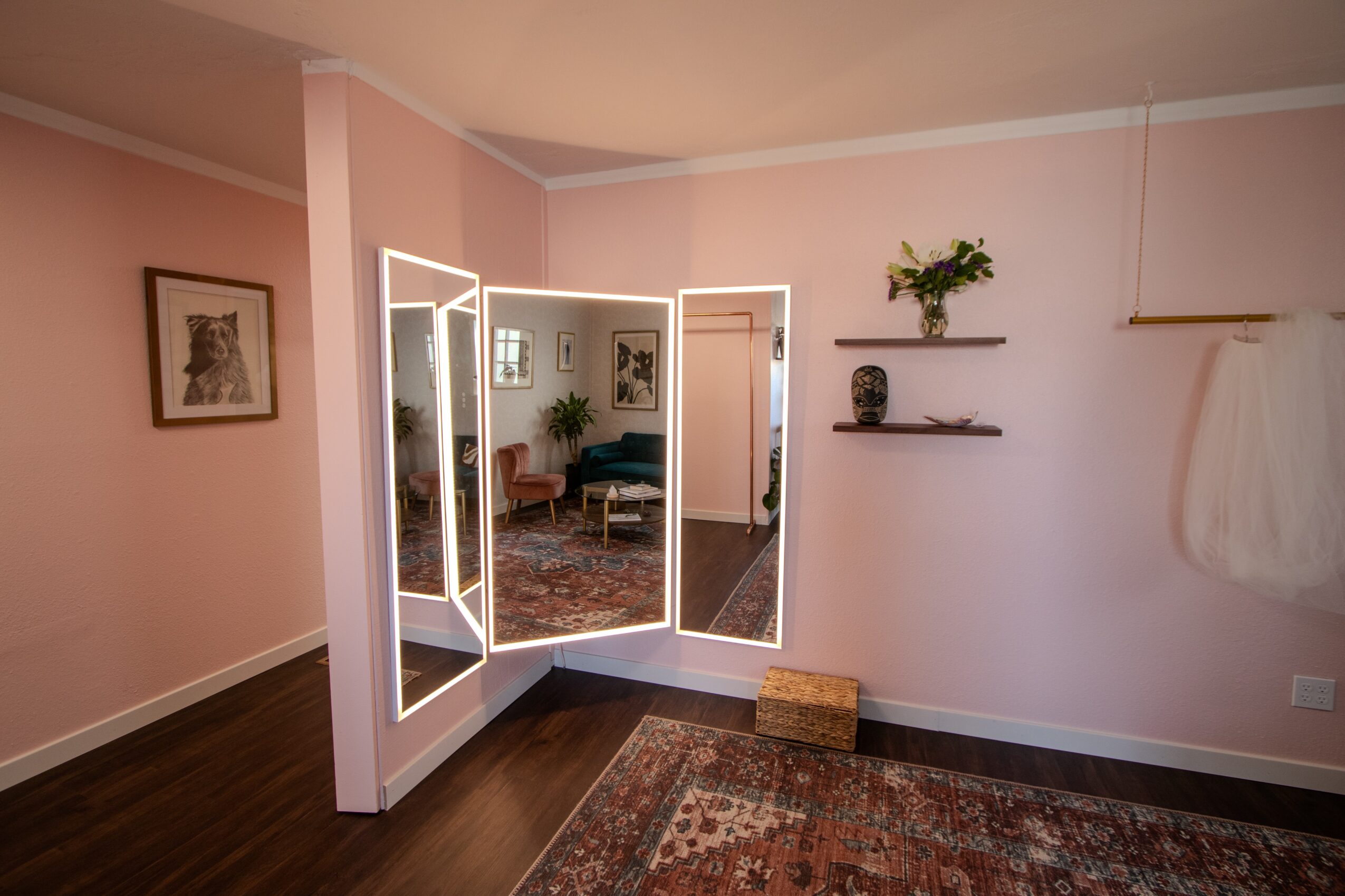 Pink-walled room with a folding mirror, framed pictures, a shelf with a plant, and a rug on dark wood floor.